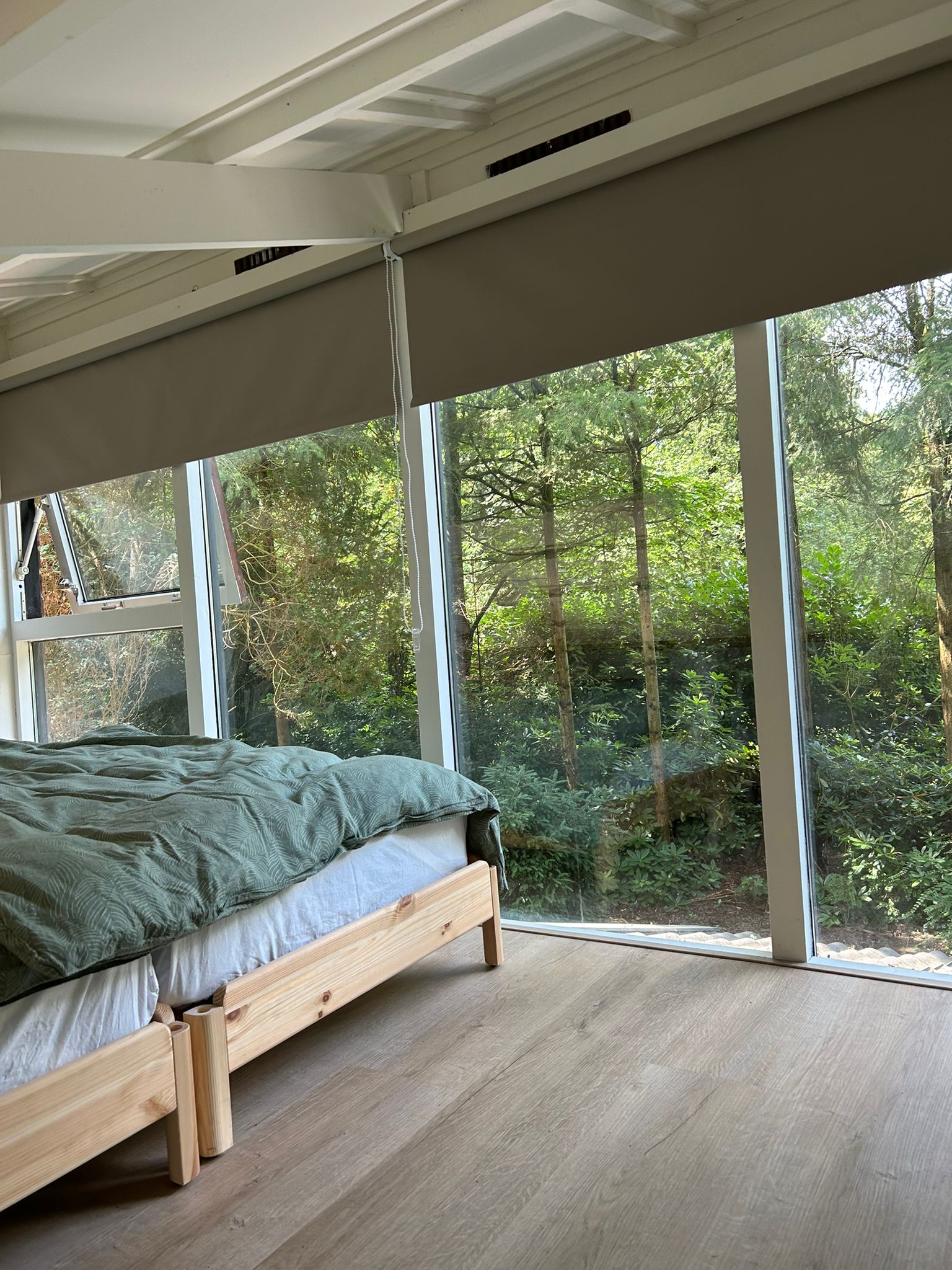 Maison nature à Stegeren