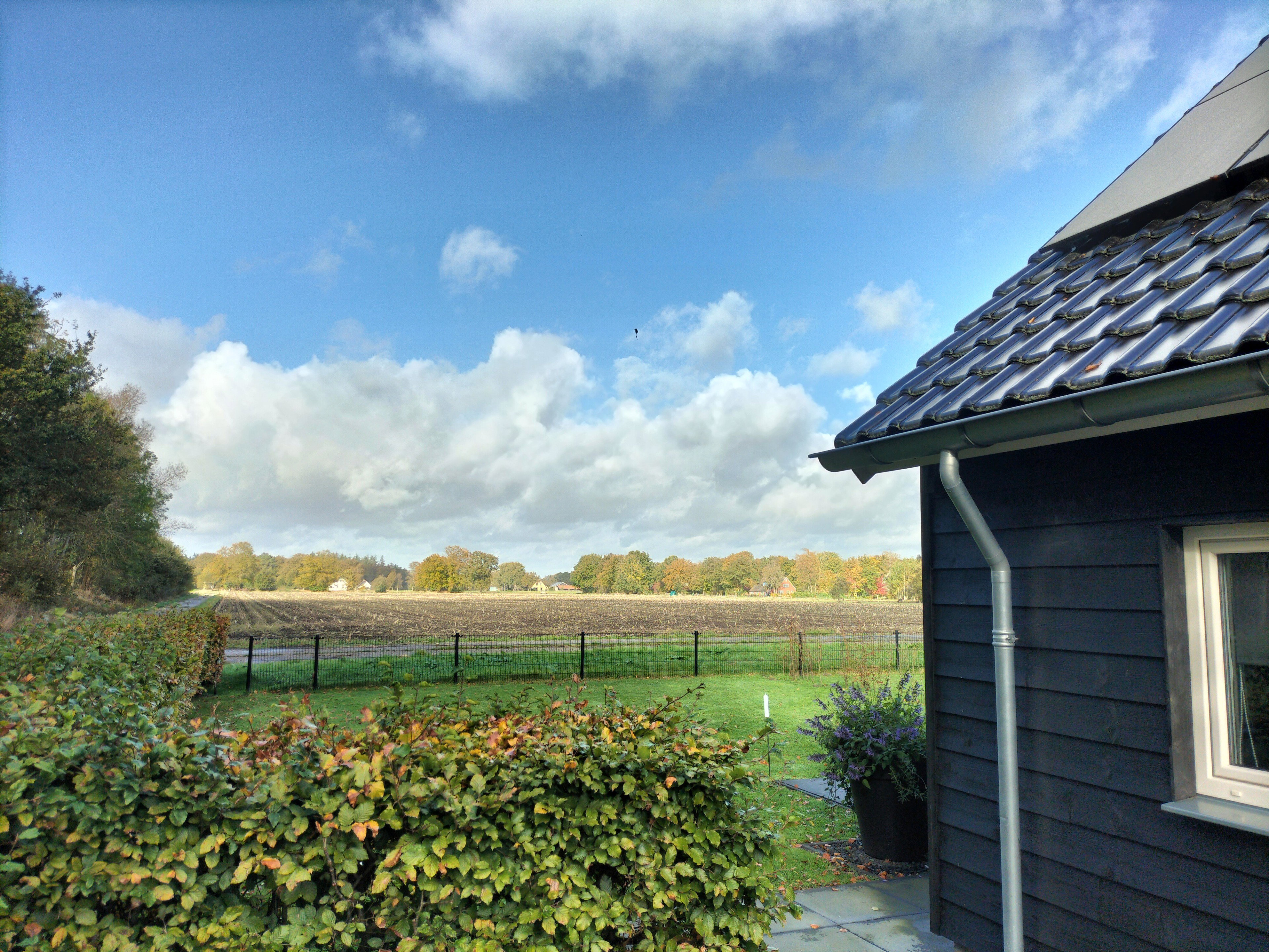 Casa nella natura a Wijnjewoude