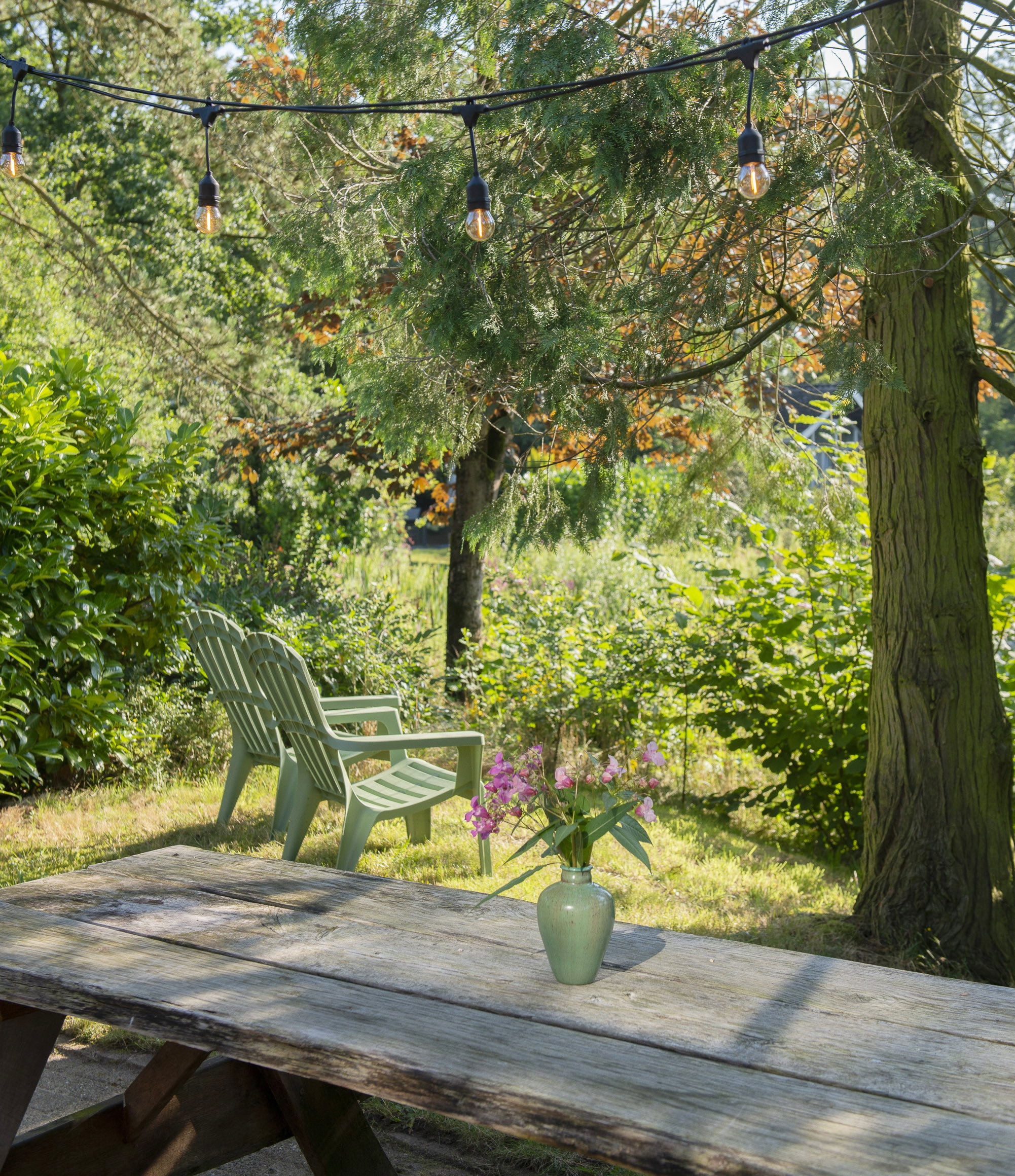 Maison nature à Aalten