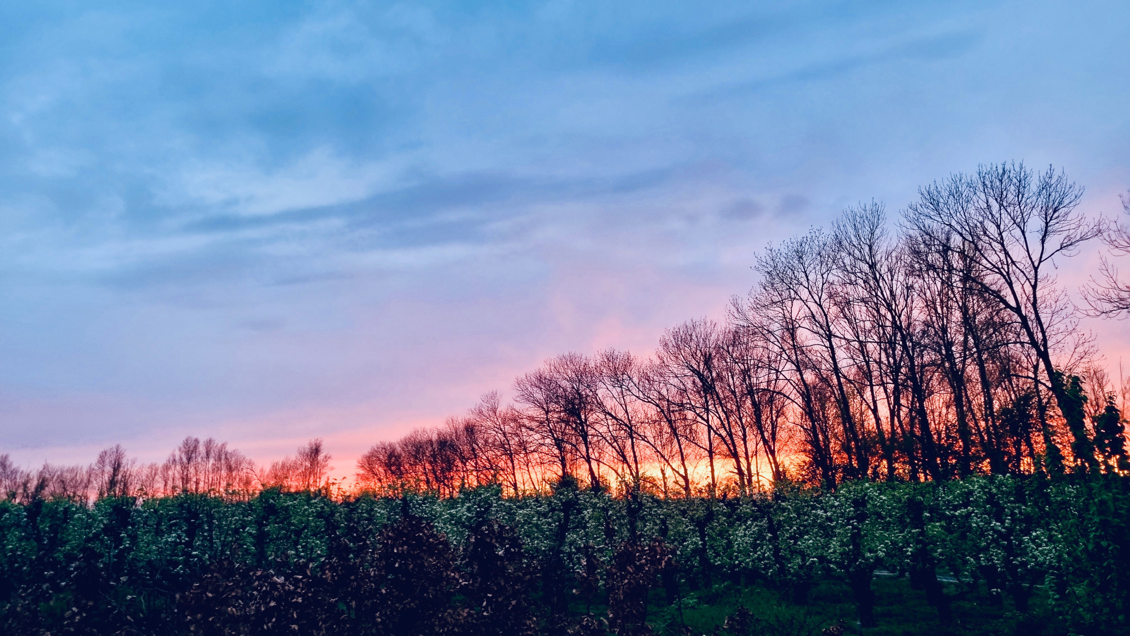 - image: 37