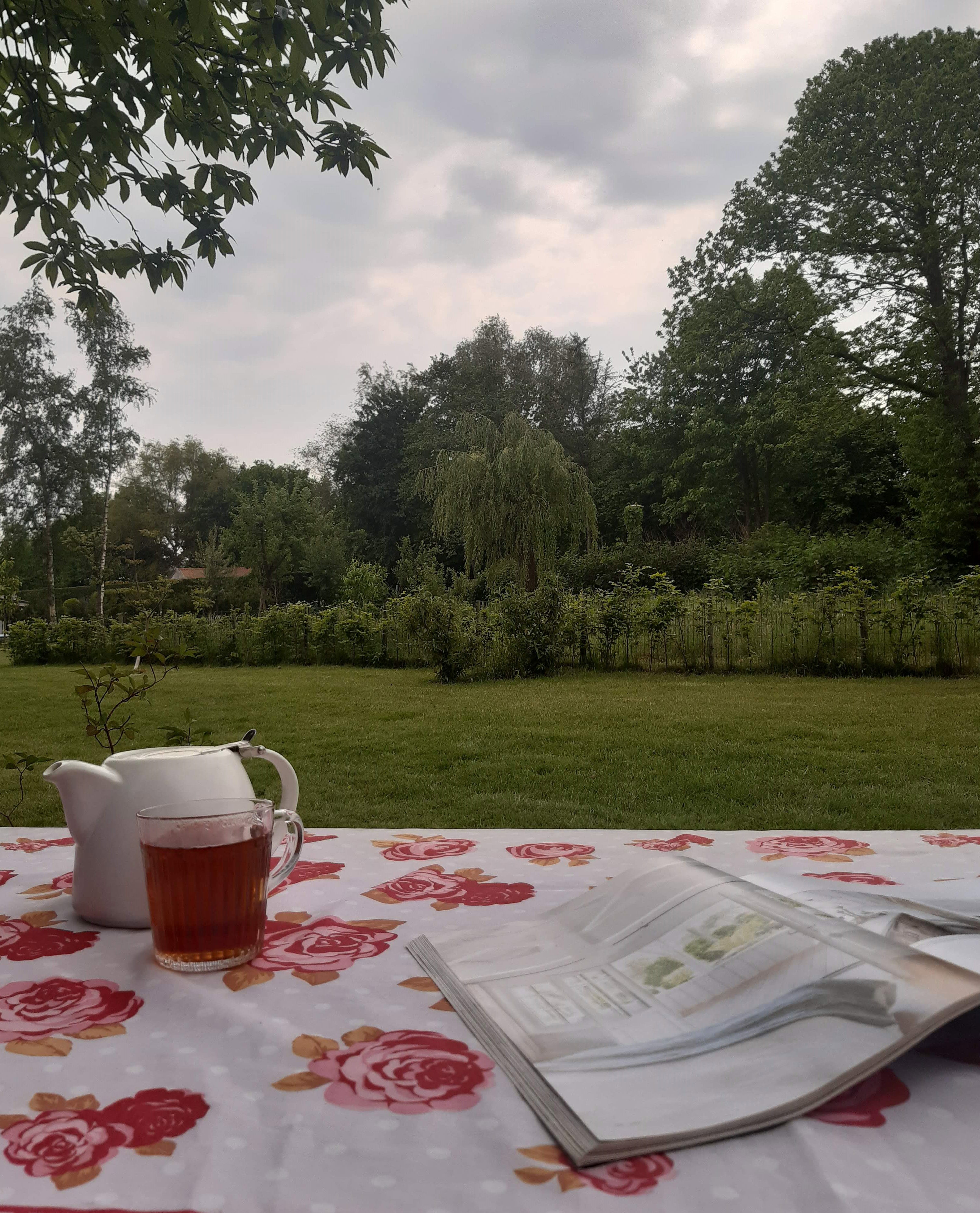 Natuurhuisje in Vriescheloo