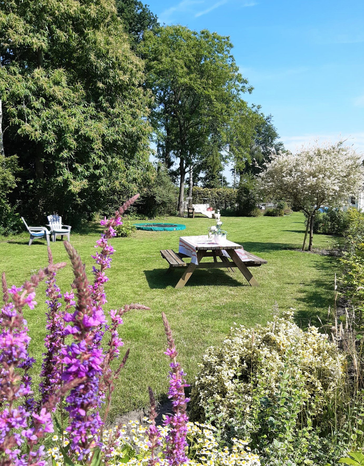 Natuurhuisje in Vriescheloo