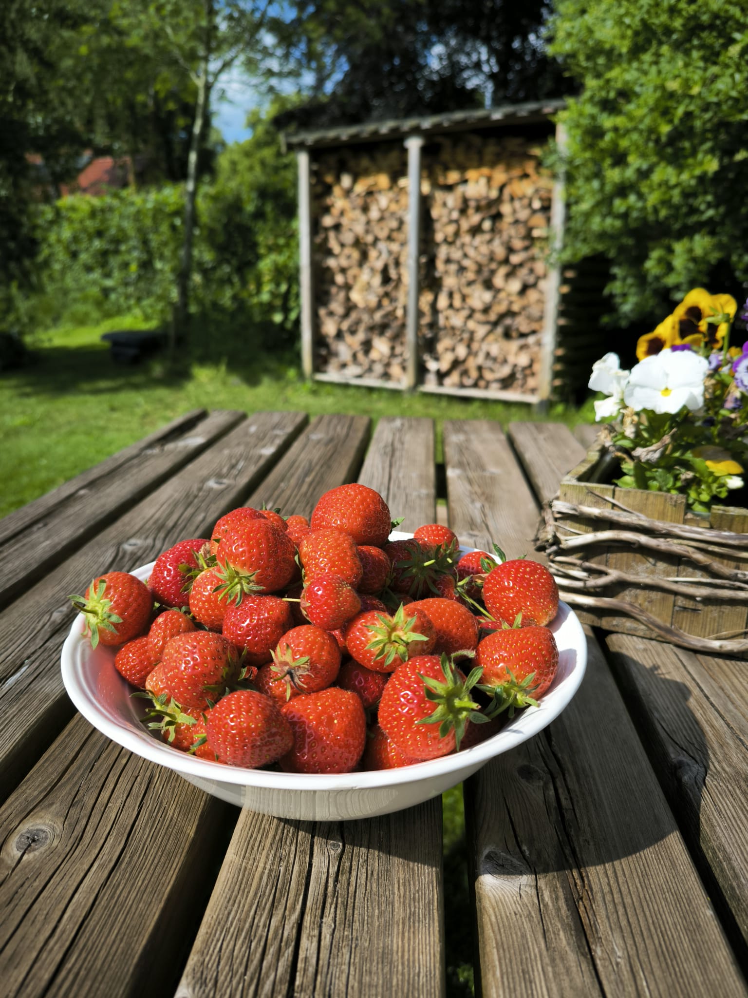 Natuurhuisje in Vriescheloo