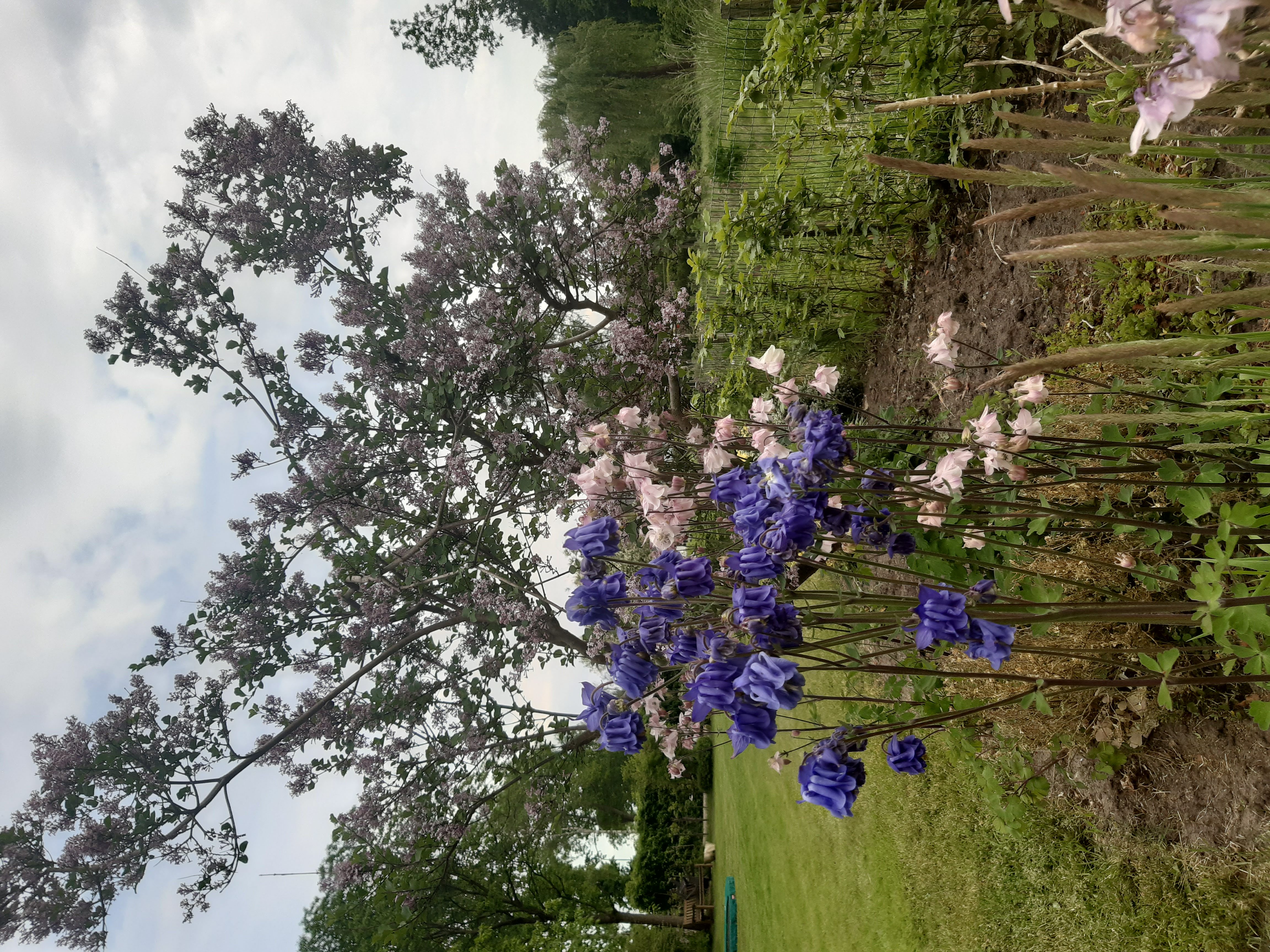 Natuurhuisje in Vriescheloo