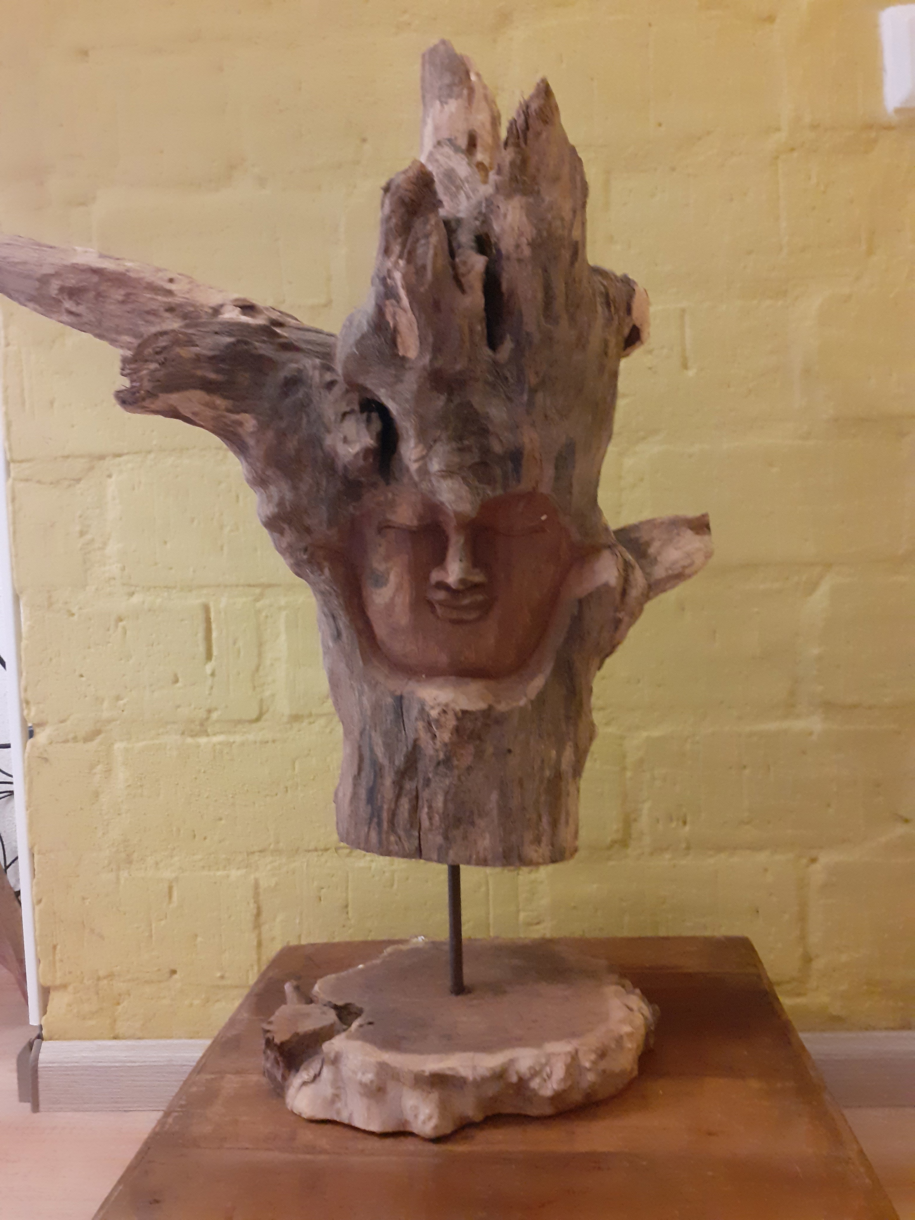 Naturhäuschen in Rheezerveen