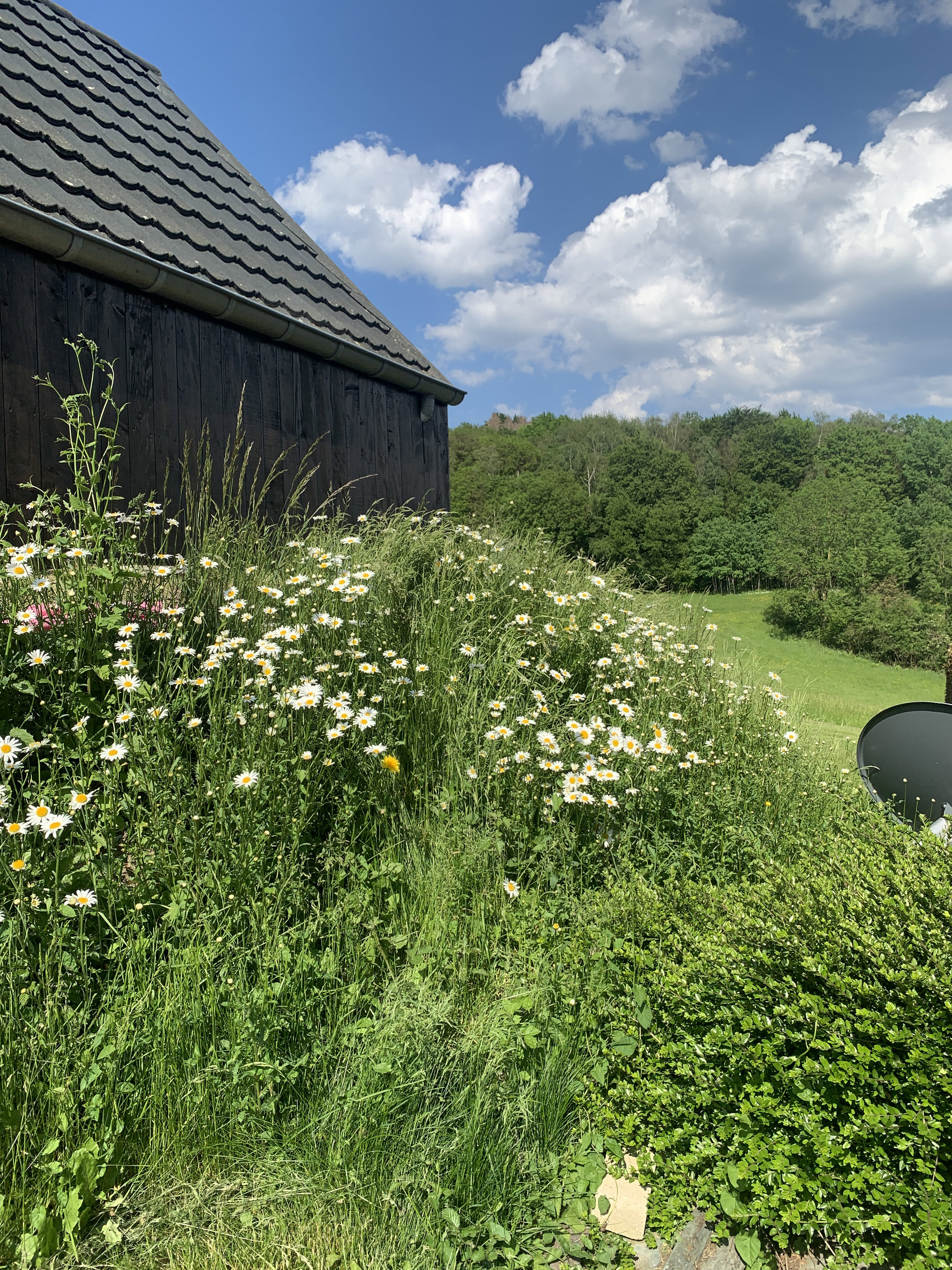 Natuurhuisje in Gemmenich
