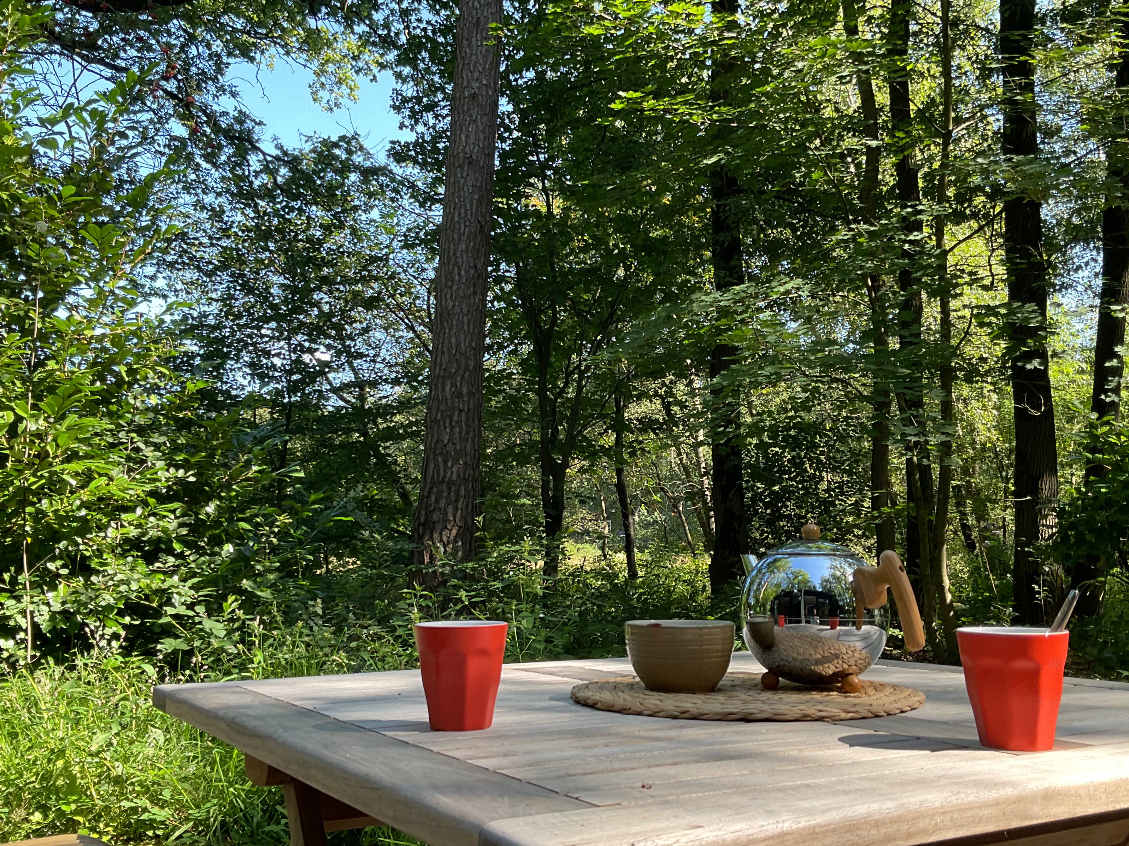 Naturhäuschen in Haaksbergen