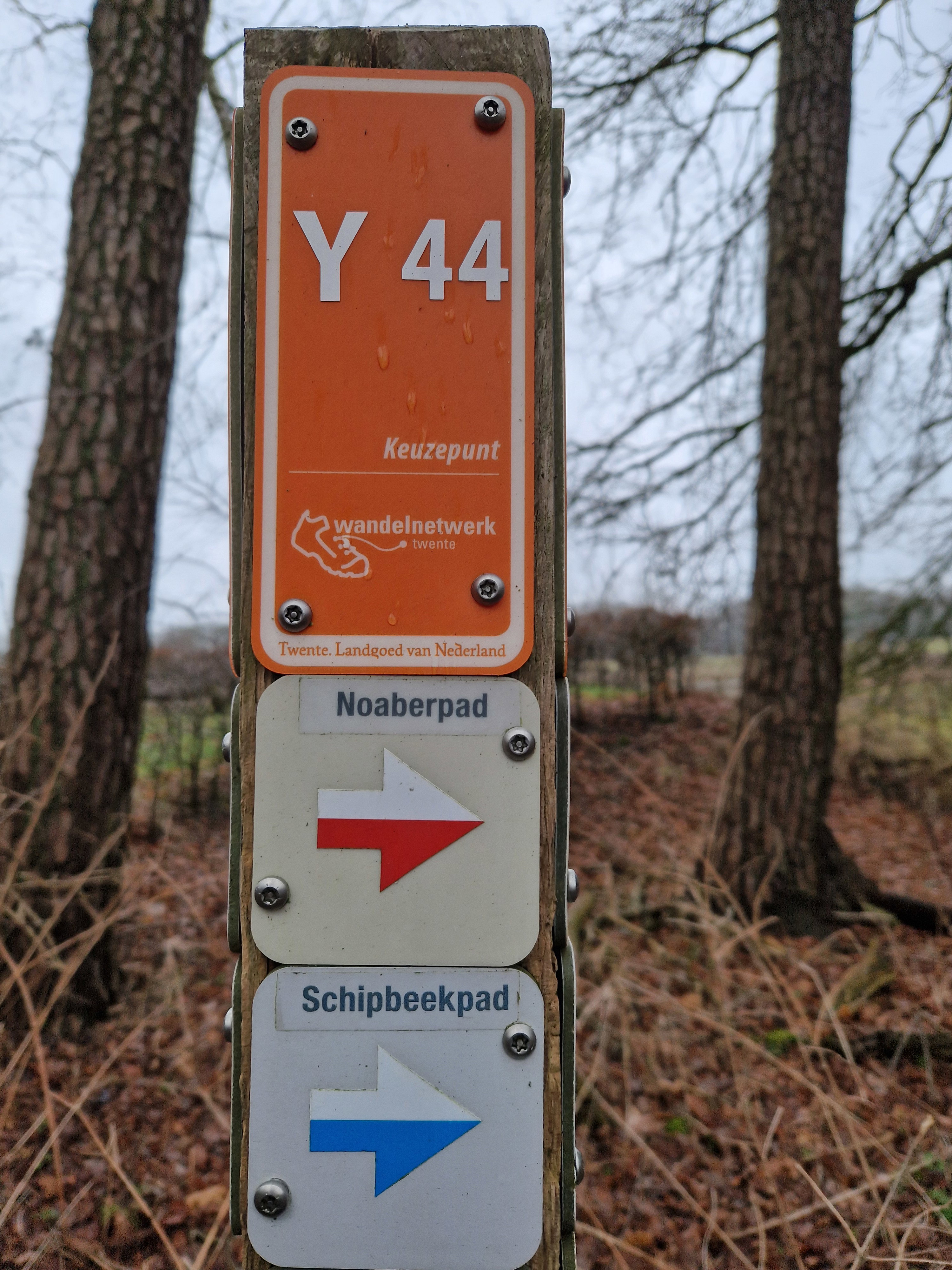 - image: 40