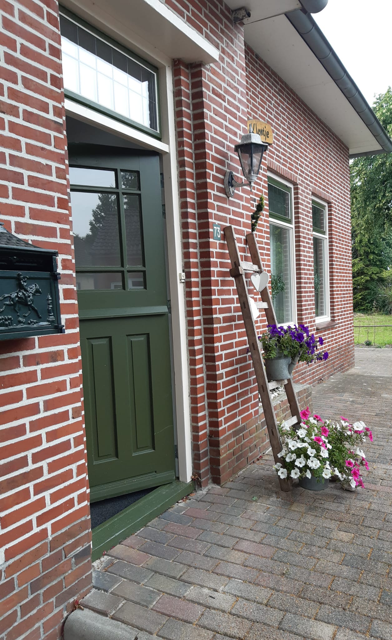 Natuurhuisje in Vriescheloo