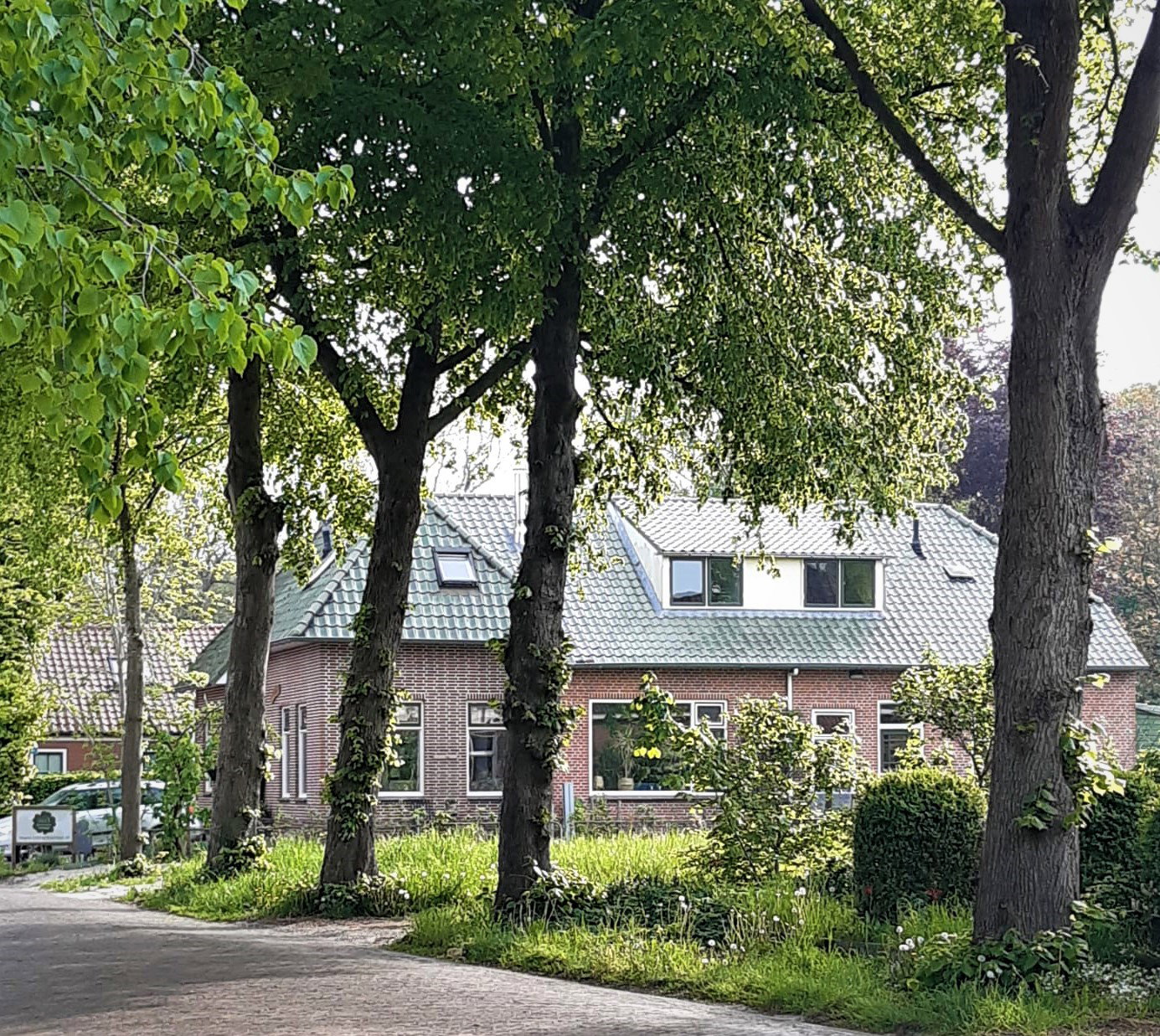 Natuurhuisje in Vriescheloo