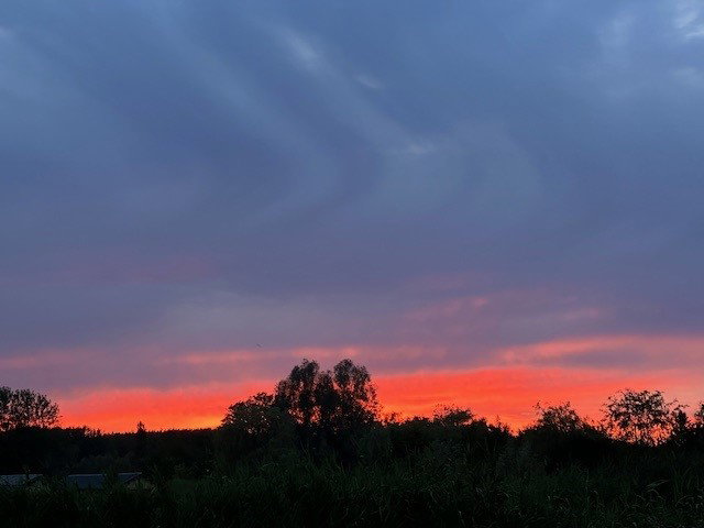 - image: 15