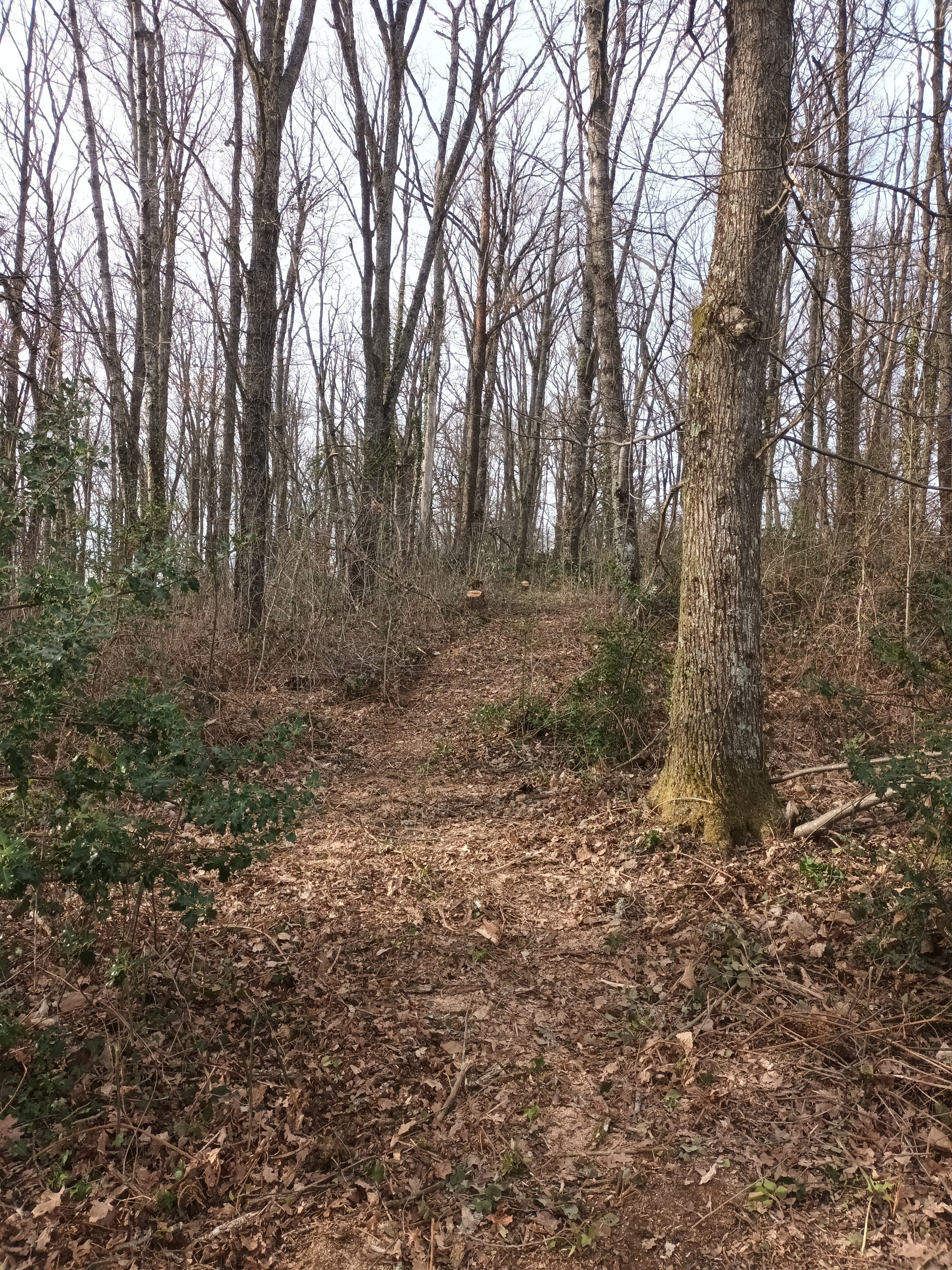 Natuurhuisje in Virlet