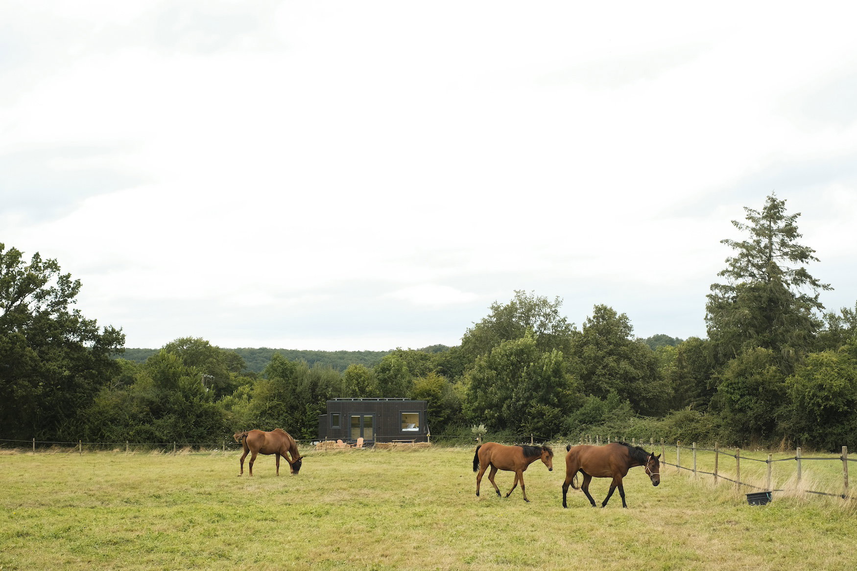 Natuurhuisje in Bretoncelles