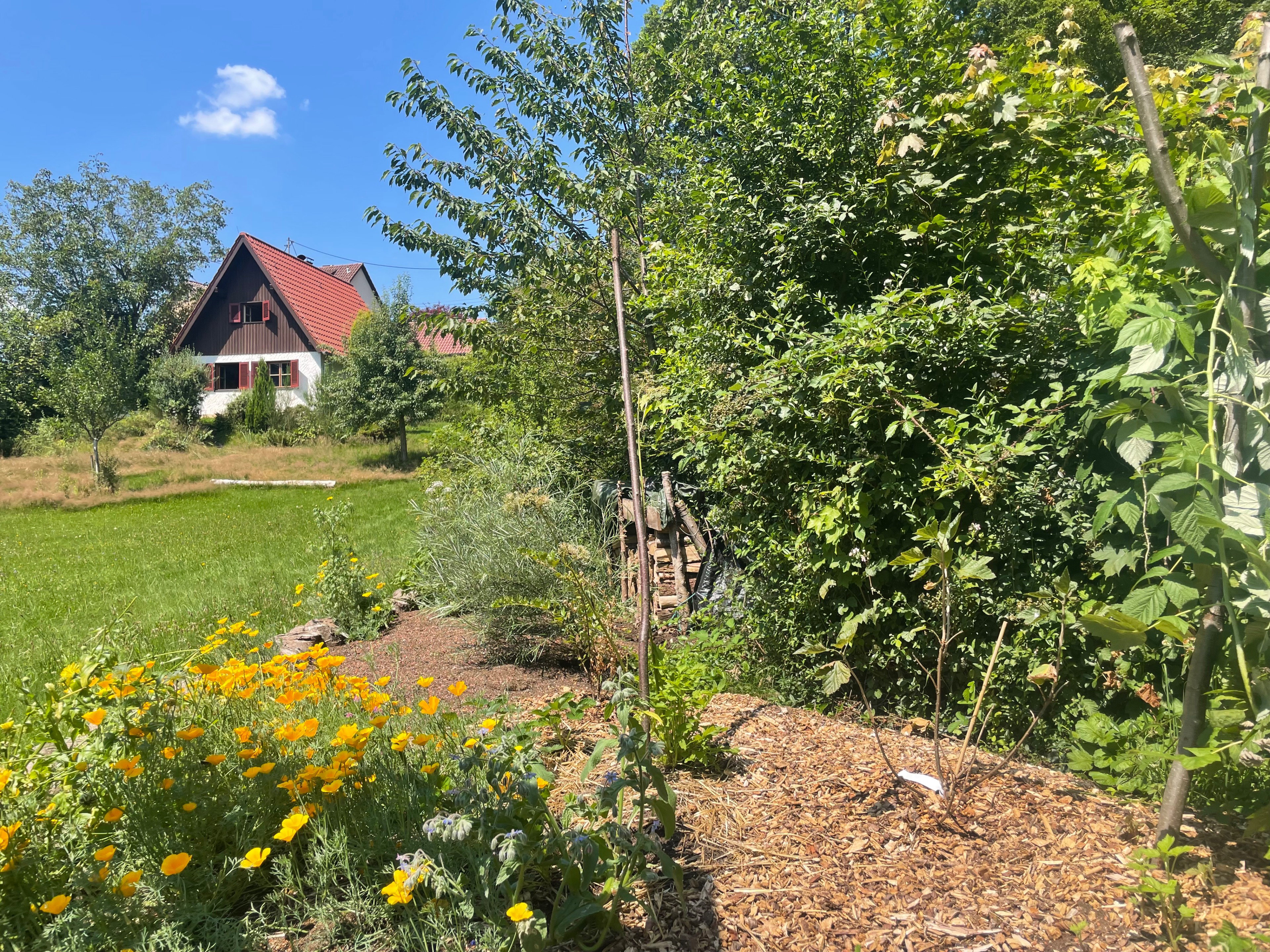 Casa nella natura a Spiegelberg