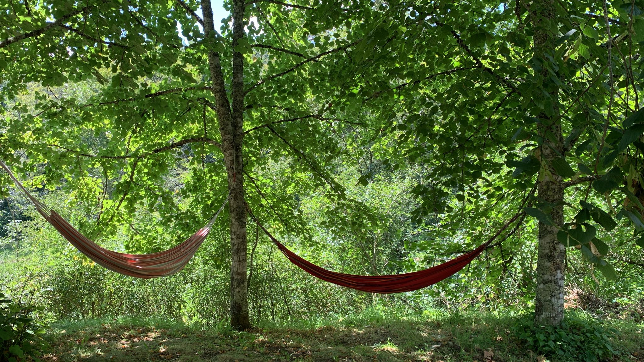 Casa nella natura a Campagnac Les Quercy