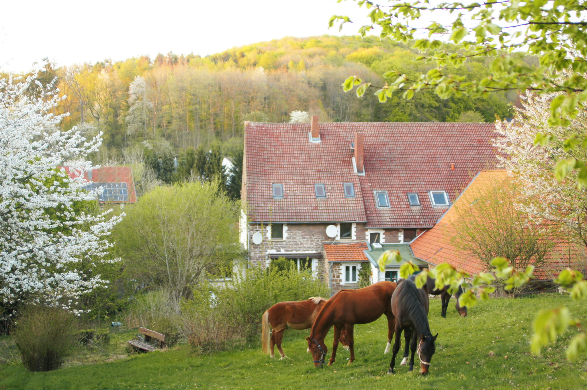 Naturhäuschen in Kalletal-Heidelbeck