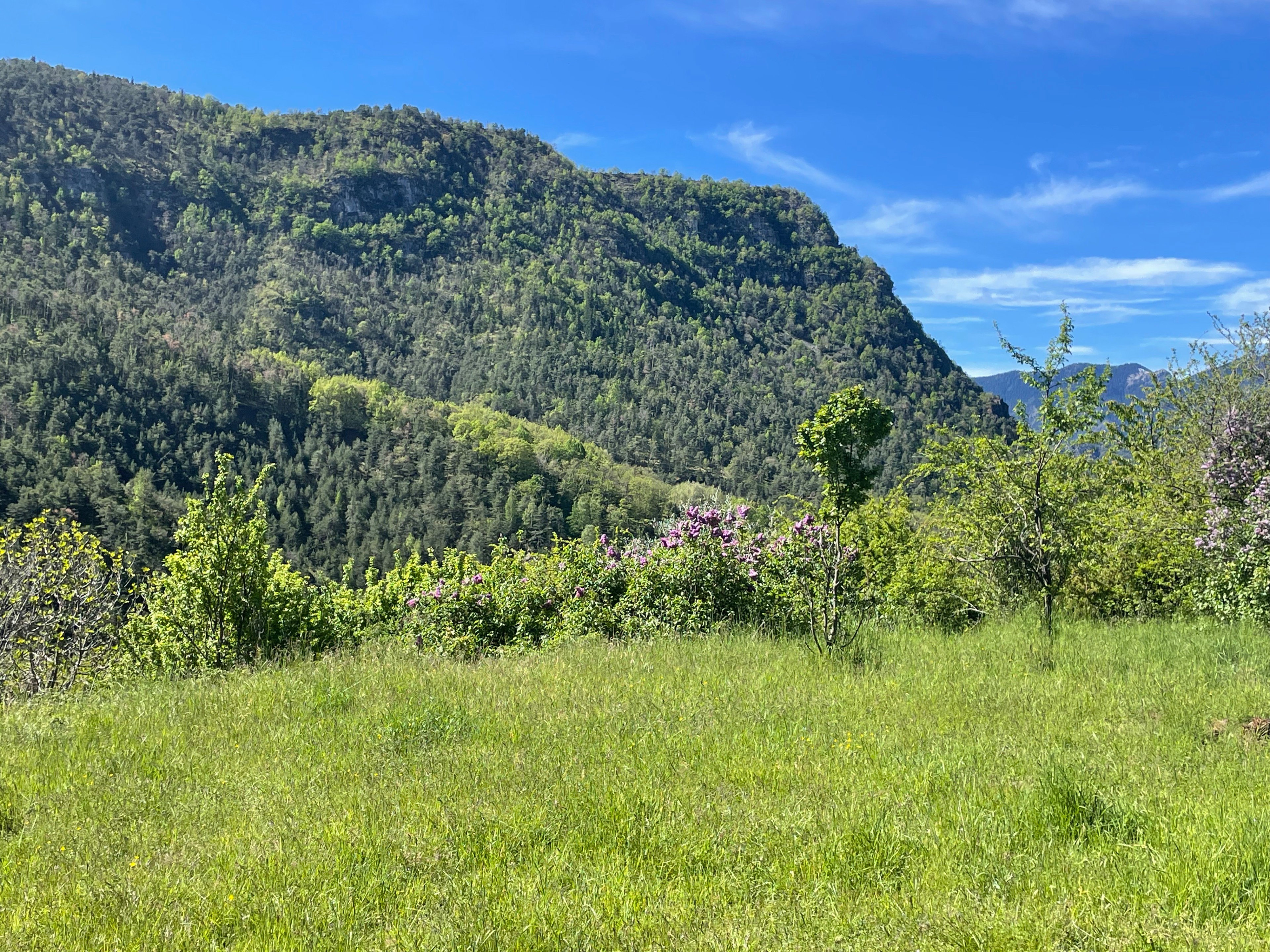 Natuurhuisje in Valdeblore