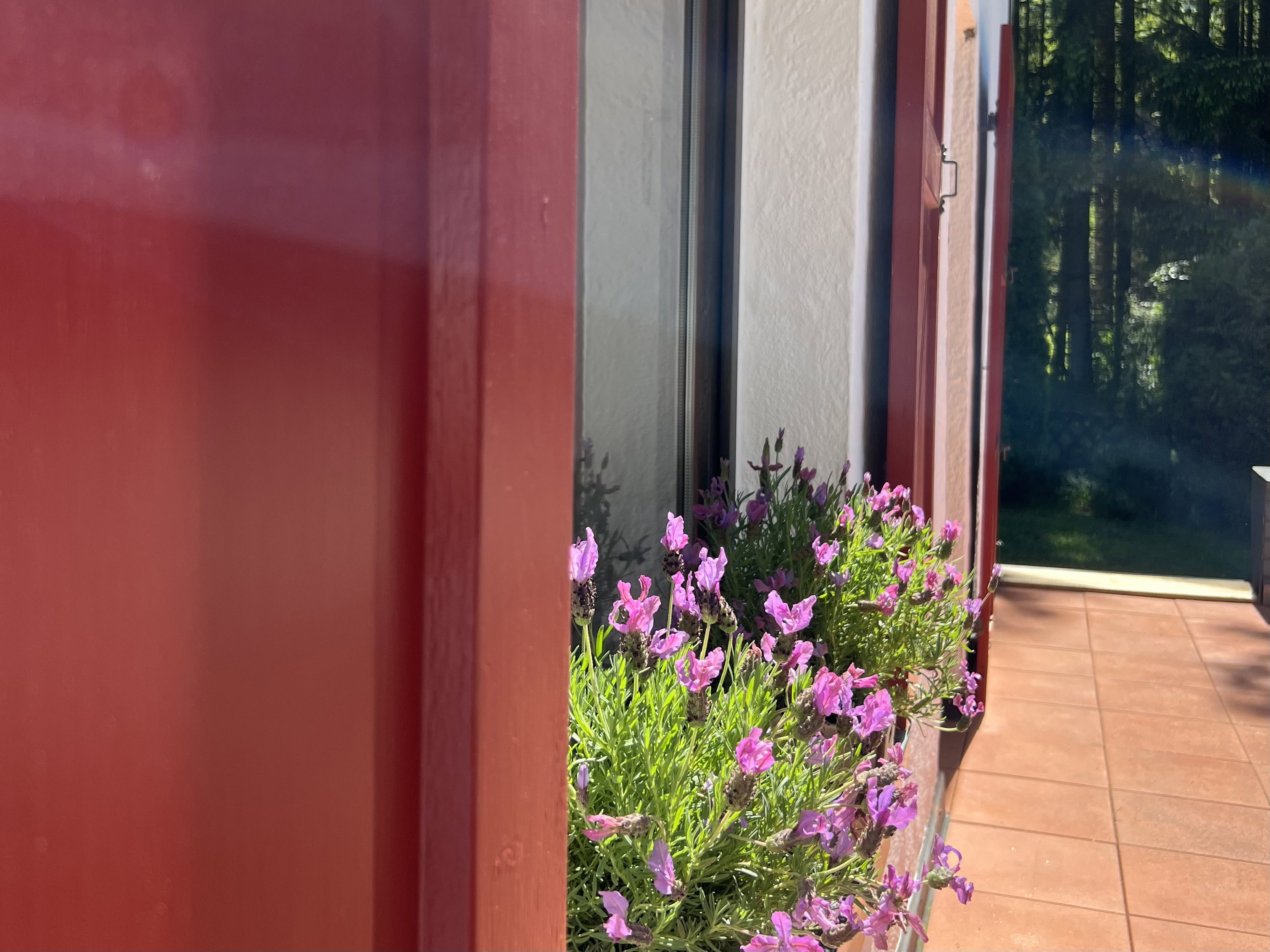 Maison nature à Mirbach