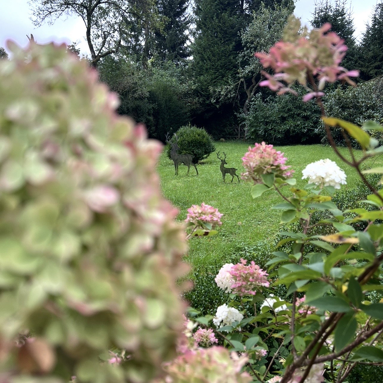 Maison nature à Mirbach