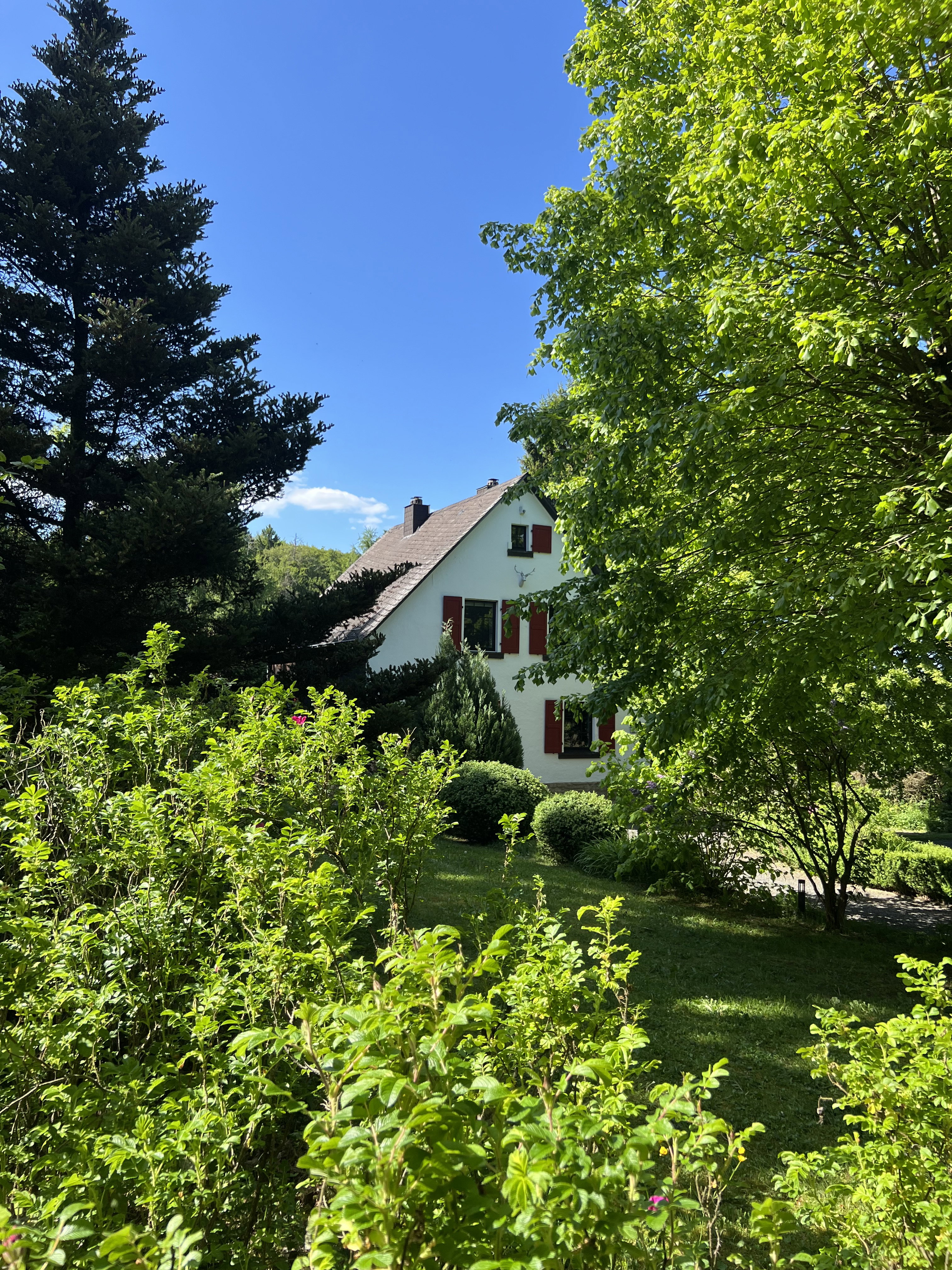 Maison nature à Mirbach