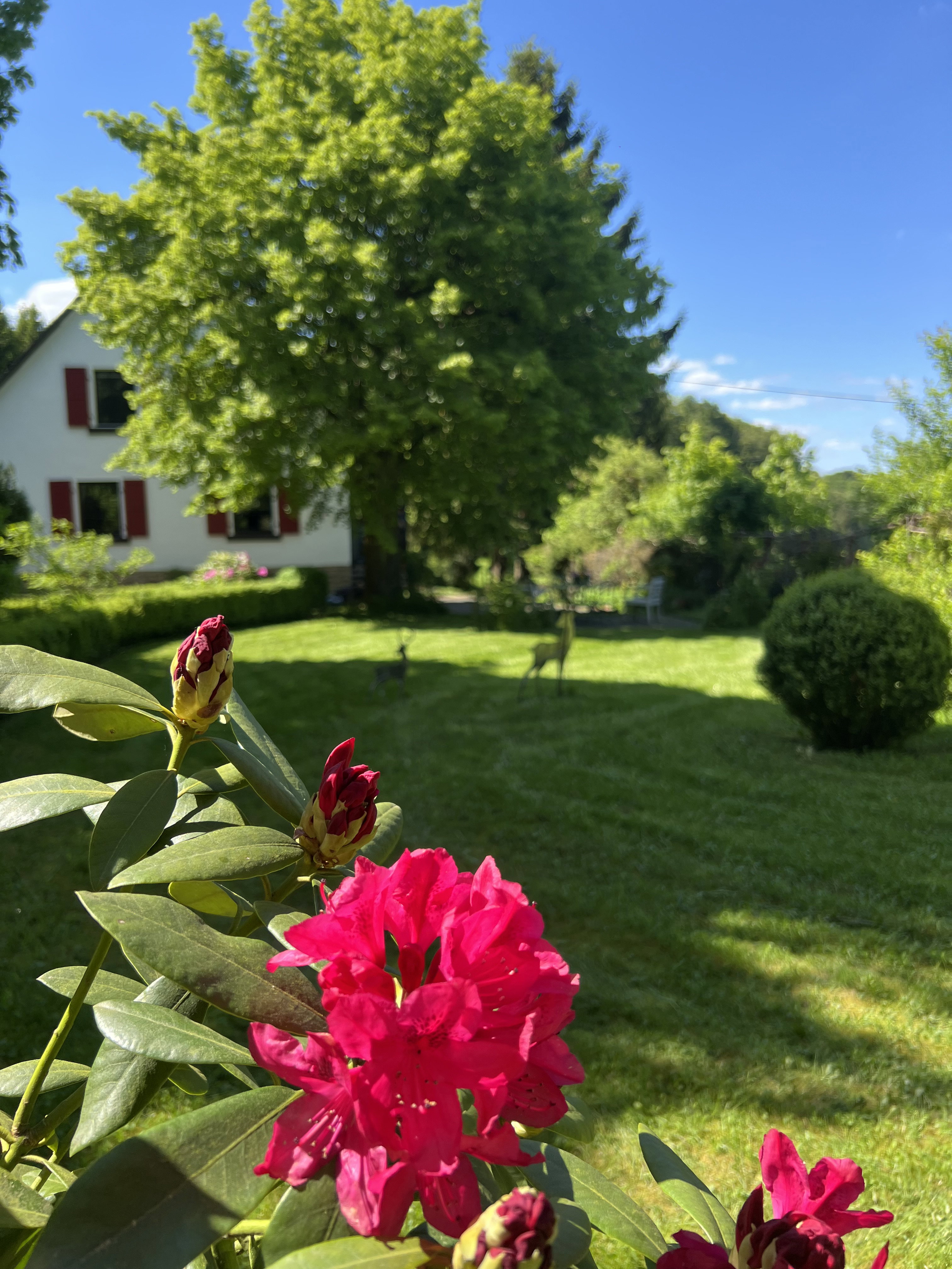 Maison nature à Mirbach