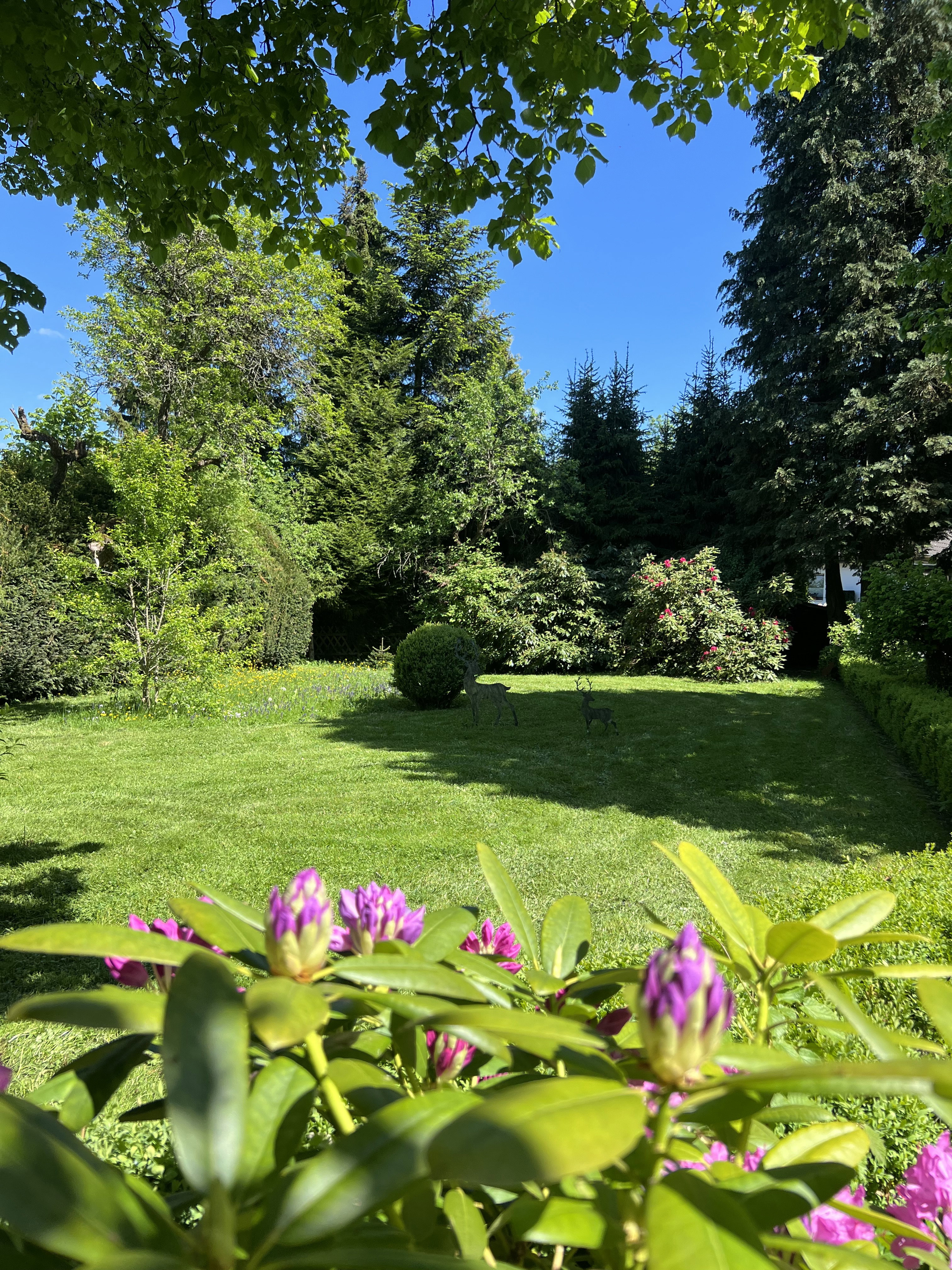 Maison nature à Mirbach