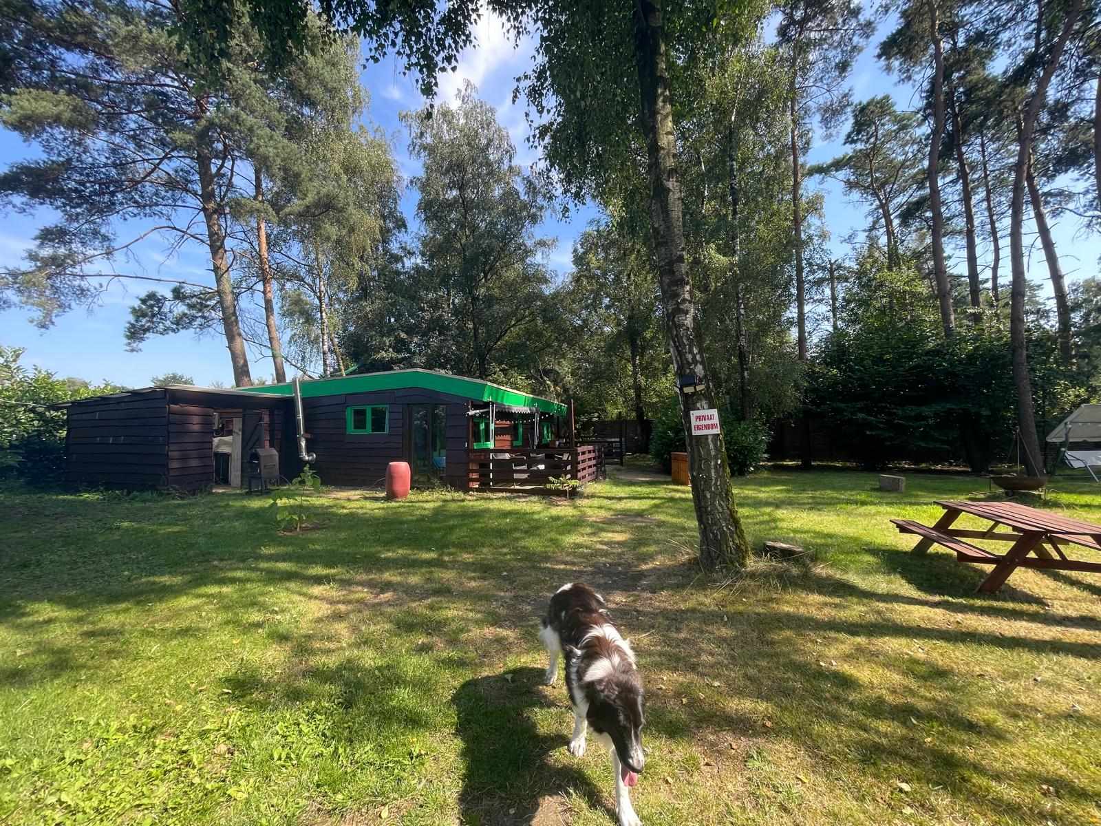 Natuurhuisje in Noorderwijk