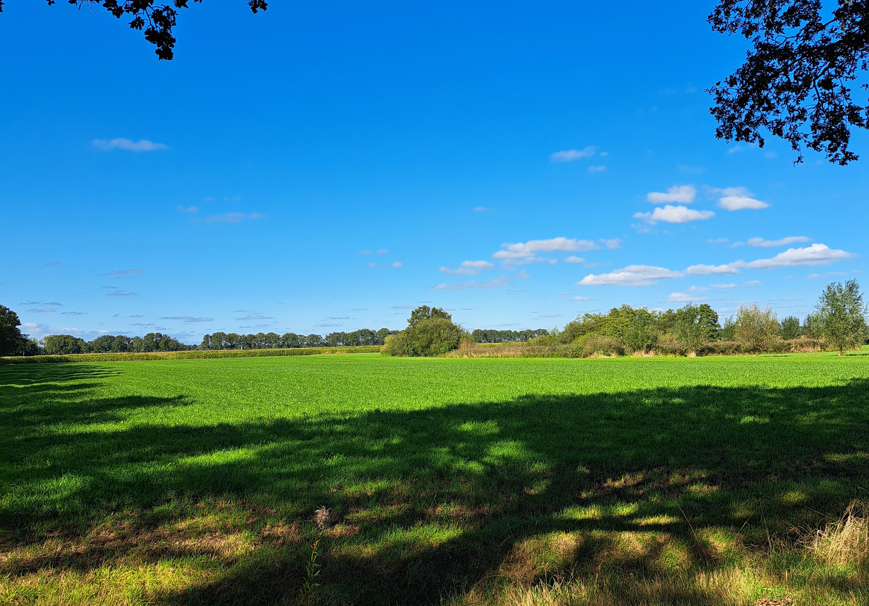 Natuurhuisje in Siegerswoude - Bakkeveen