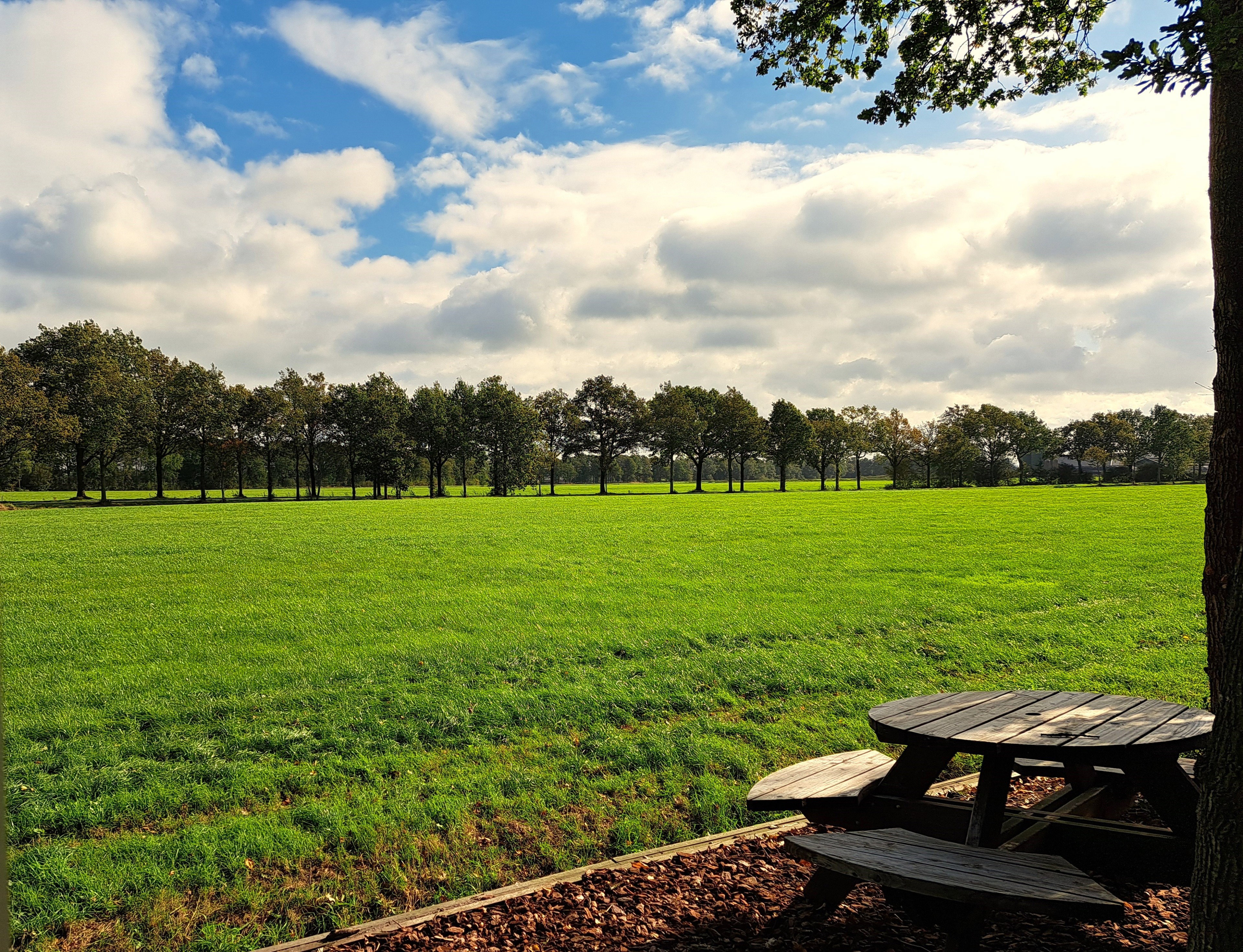 Natuurhuisje in Siegerswoude - Bakkeveen
