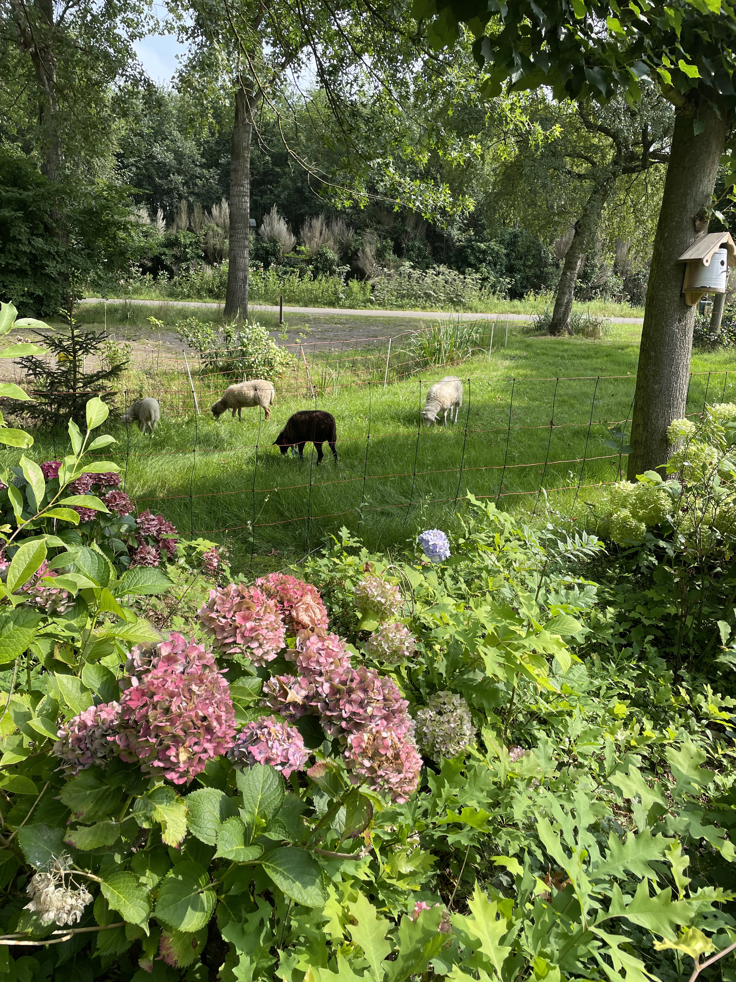 Natuurhuisje in Oirschot
