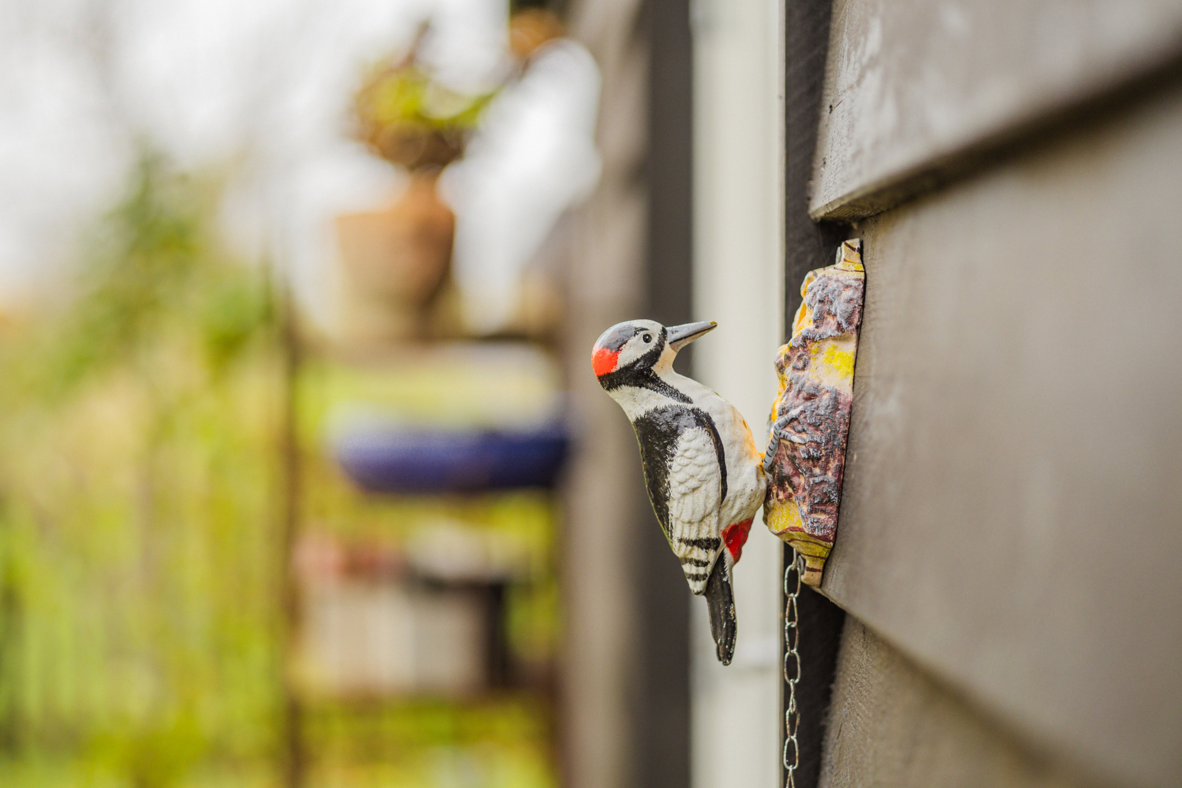 - image: 35