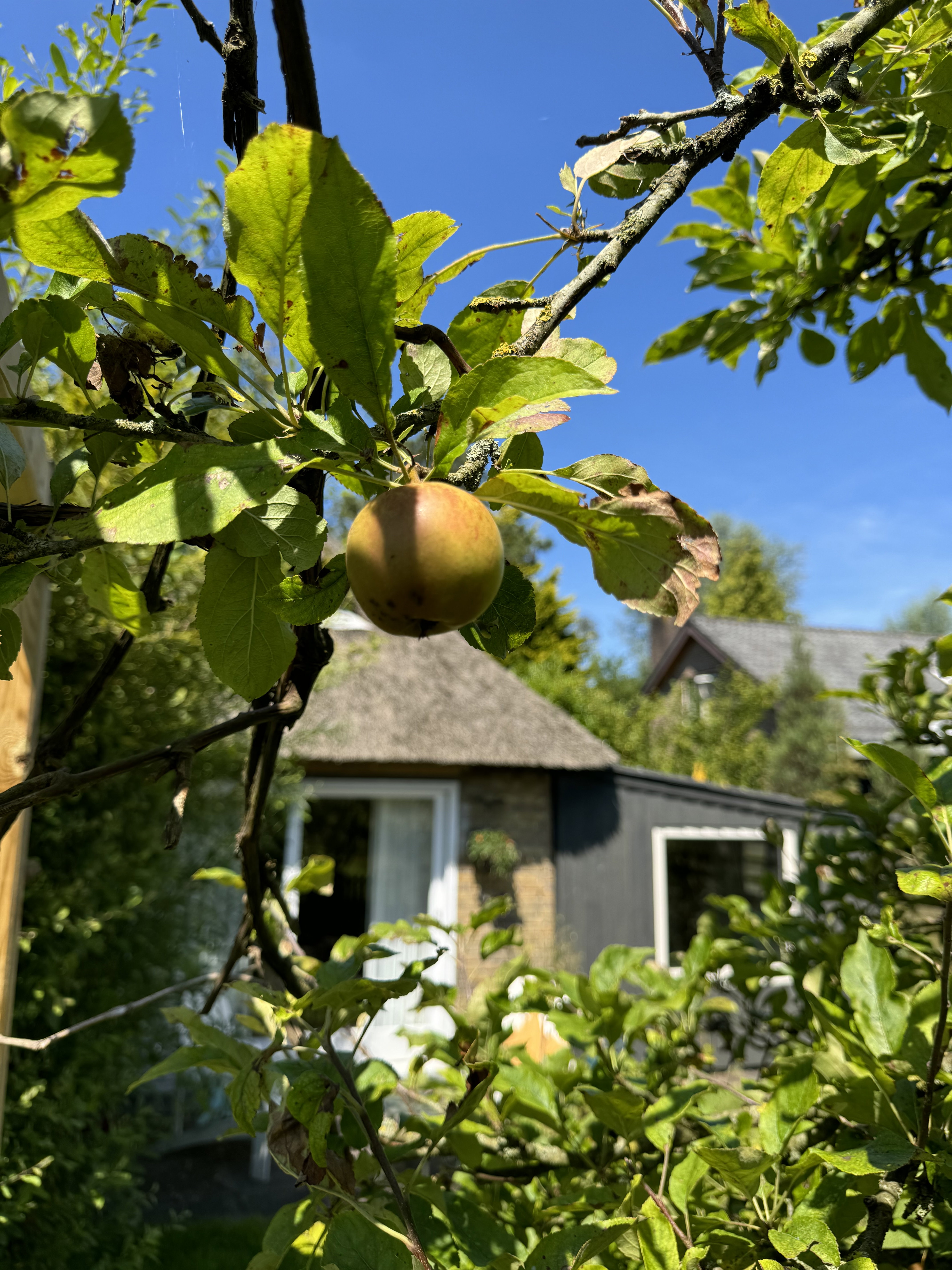 Casa nella natura a Schoorl