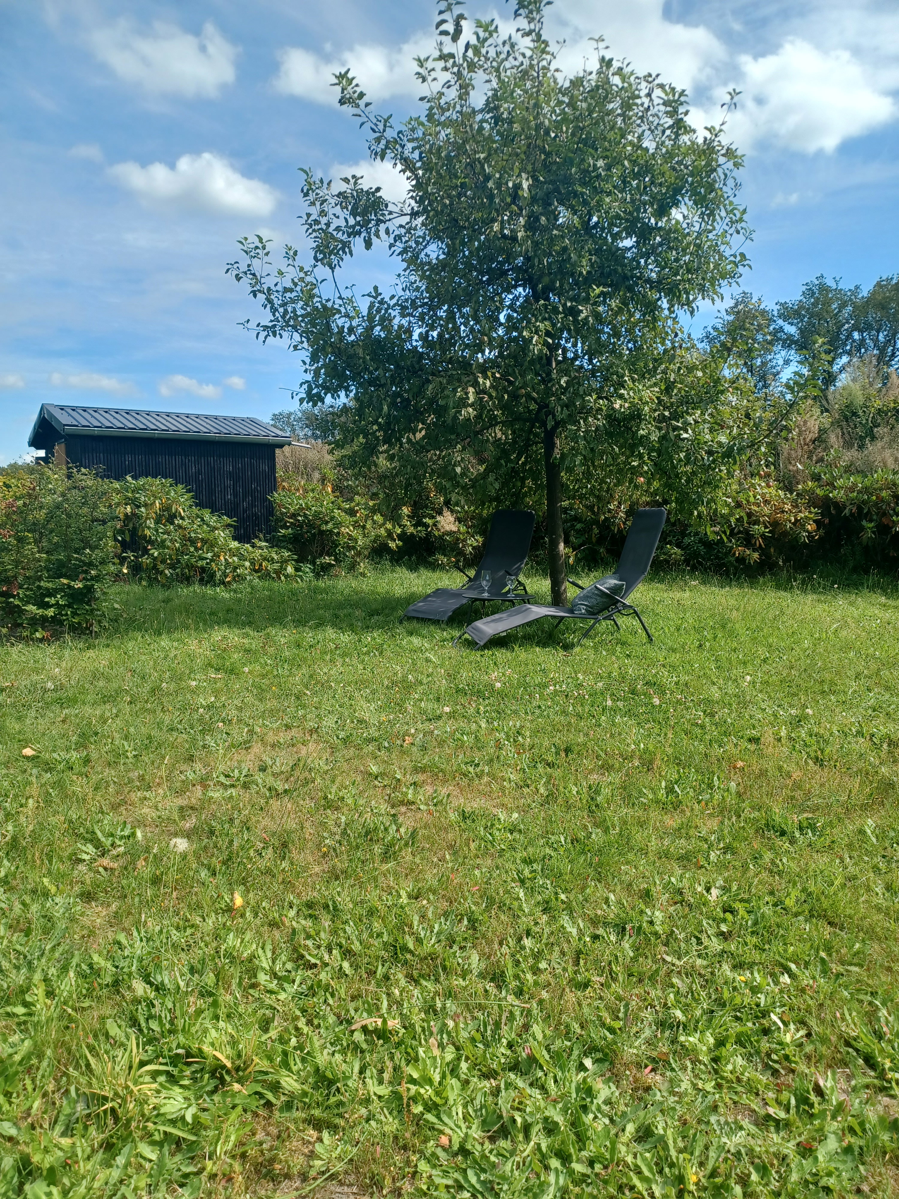 - image: 11