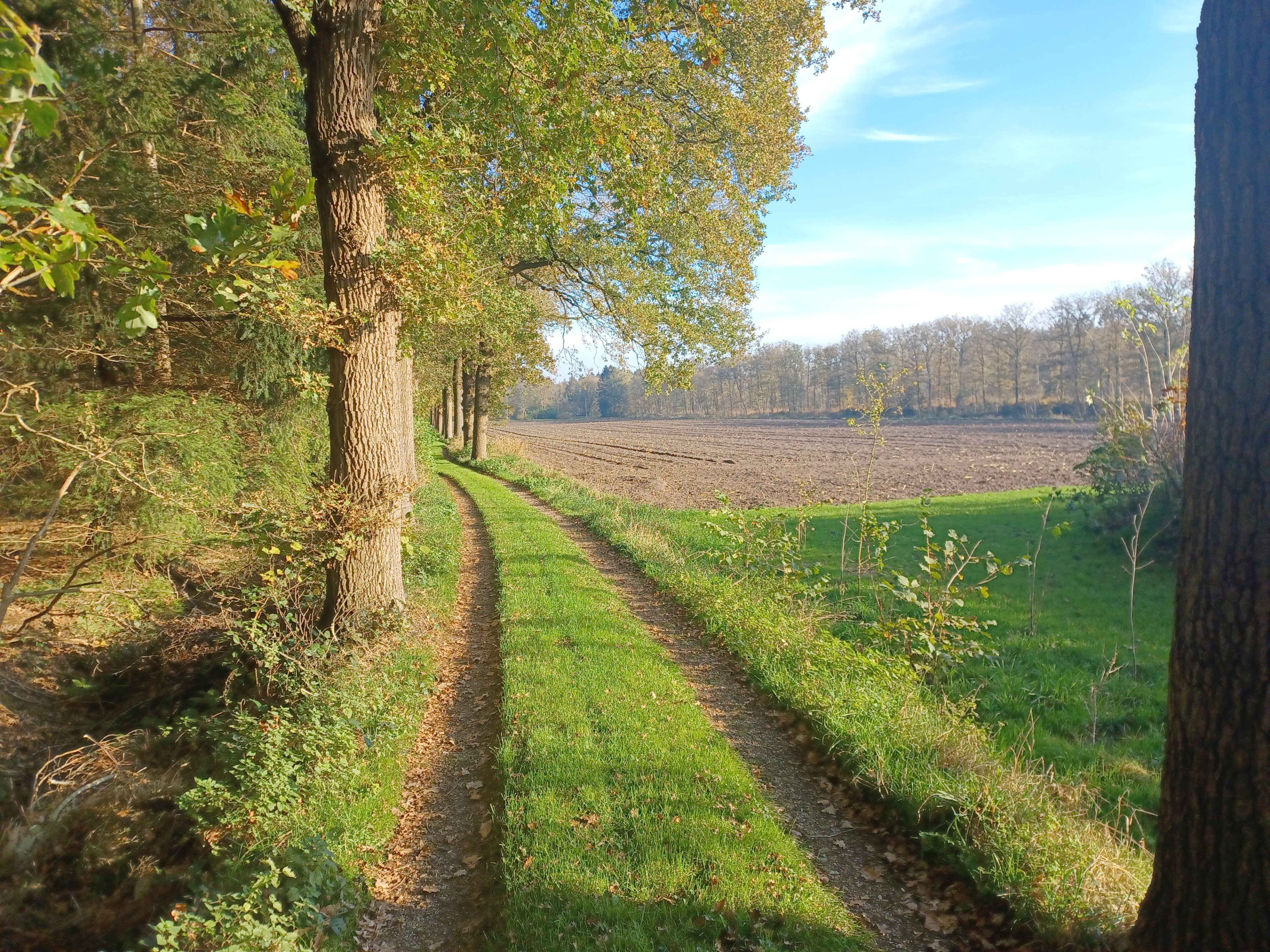 - image: 14