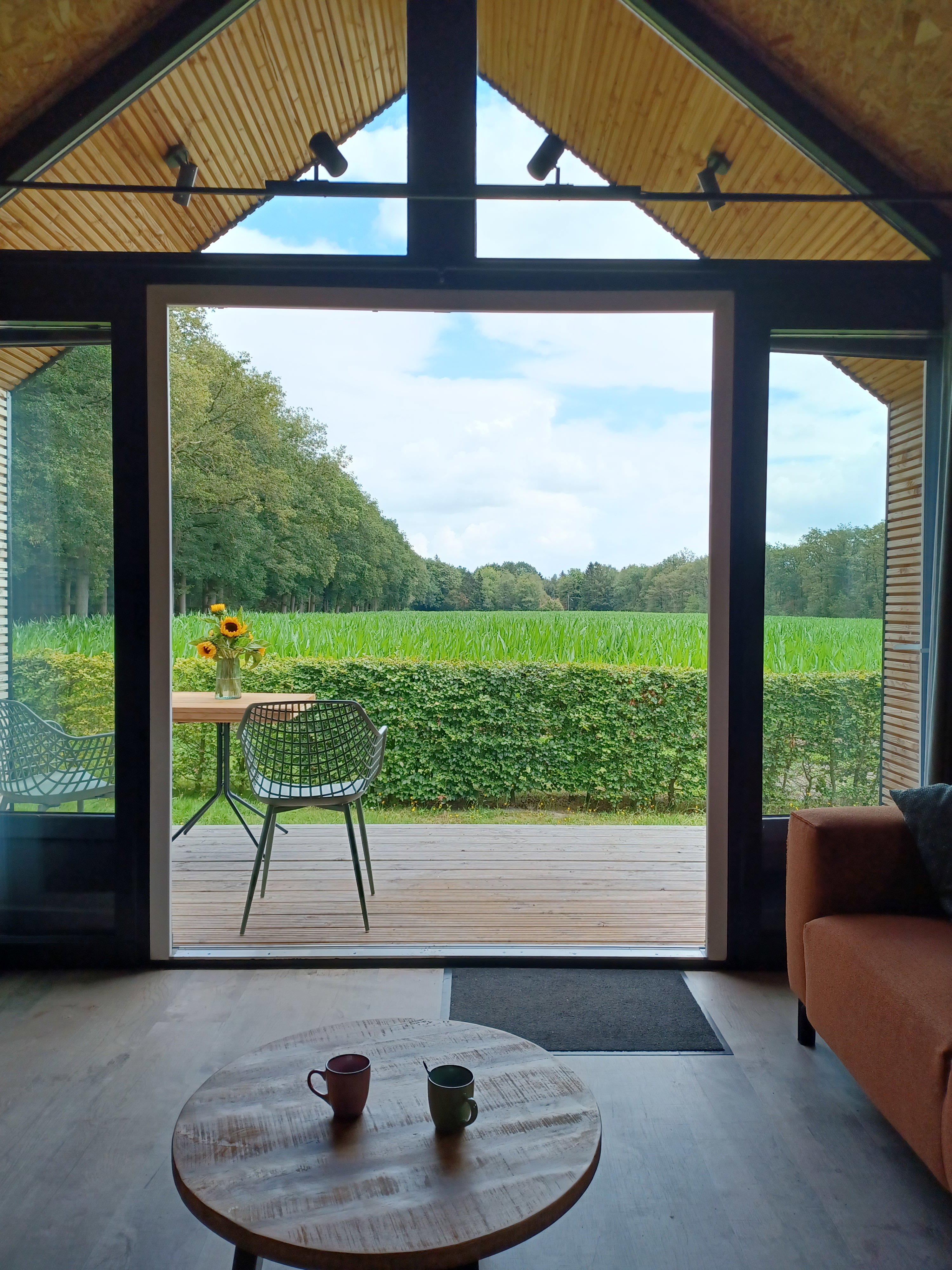 Casa nella natura a Hollandscheveld