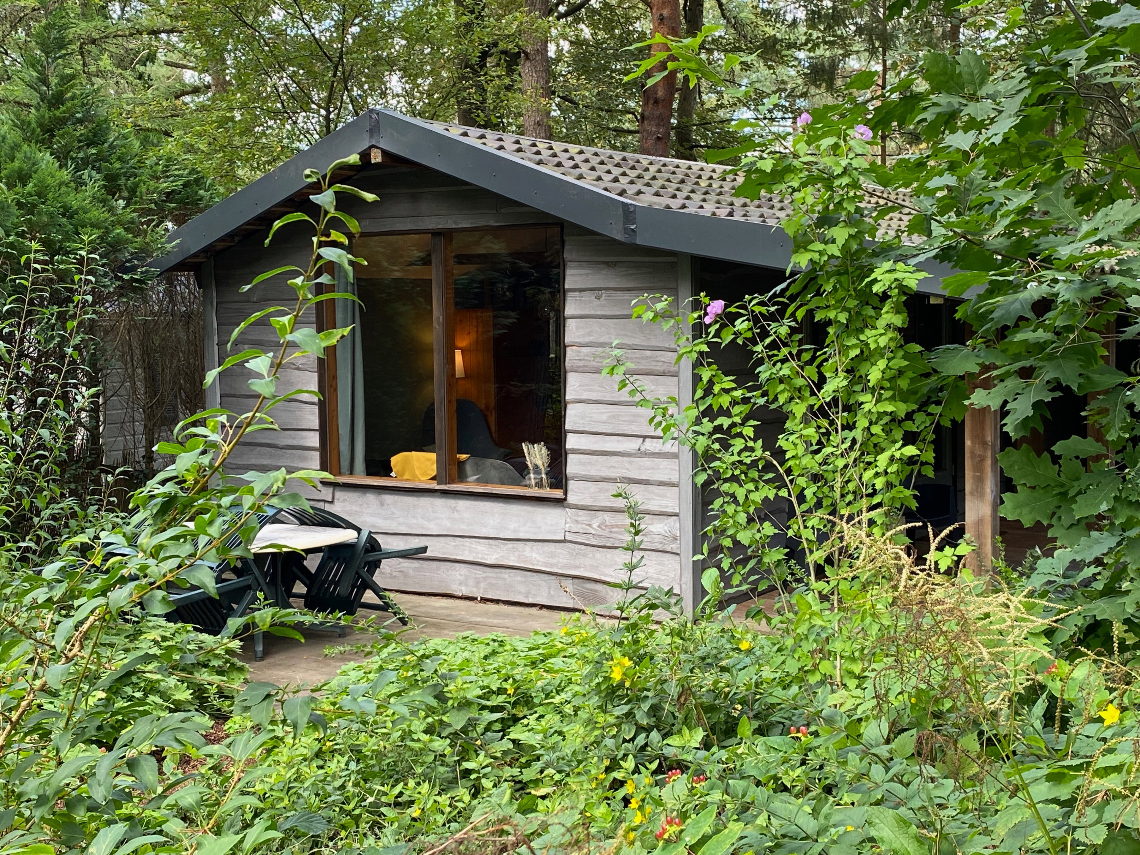 Maison nature à Emst