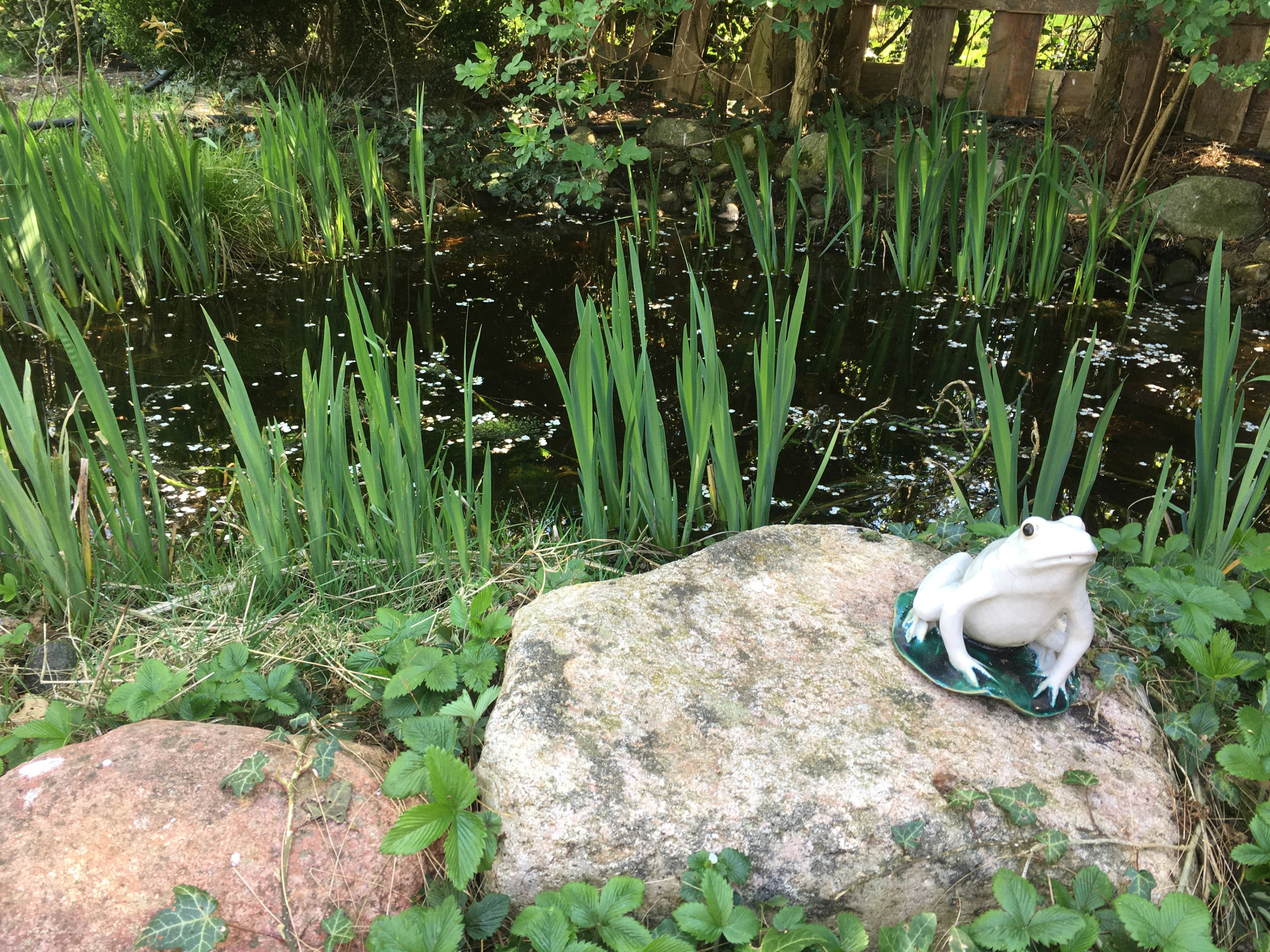 Naturhäuschen in Dyksterhusen