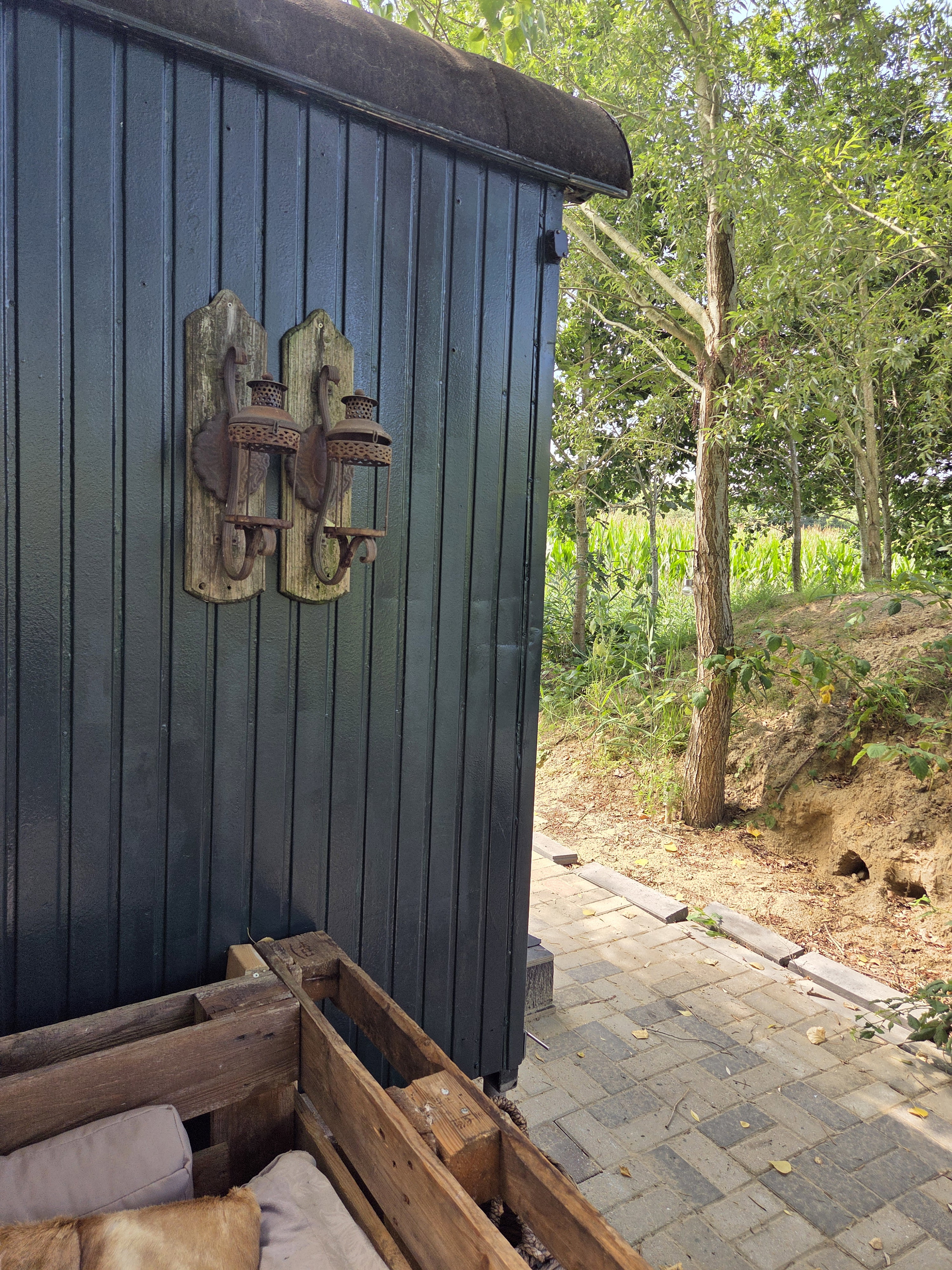 - image: 12