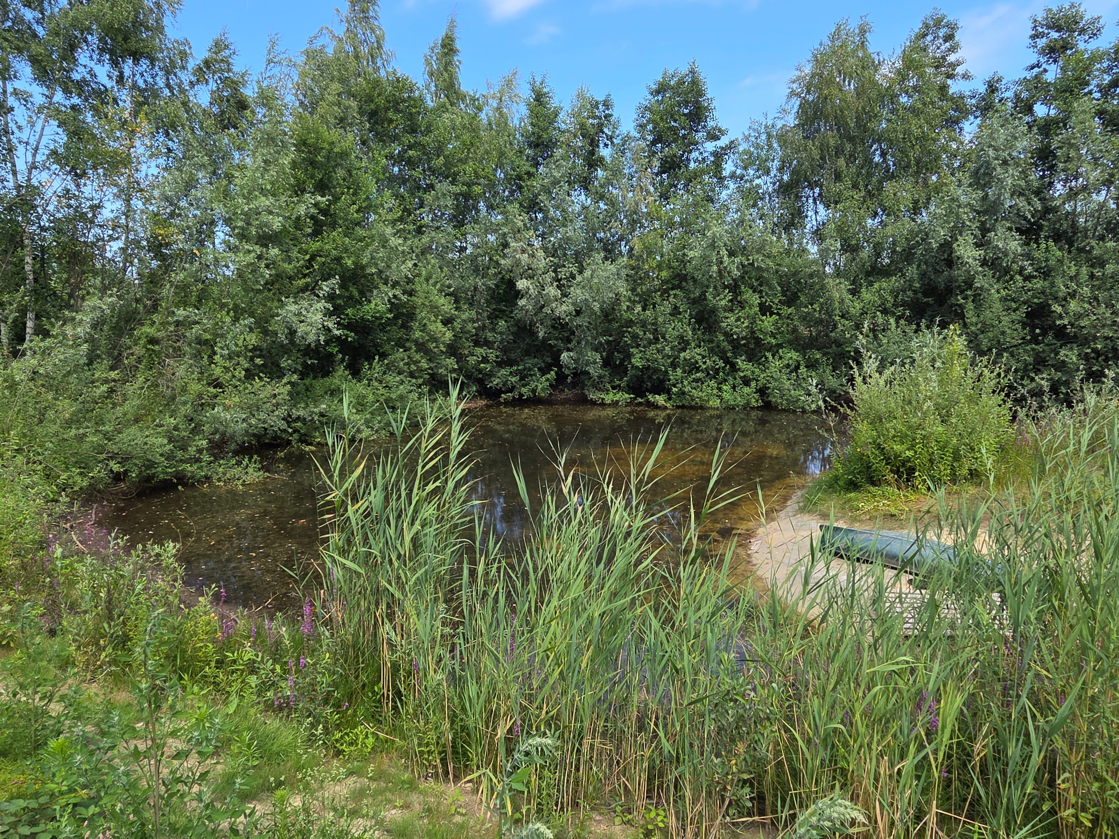 Natuurhuisje in Gemonde