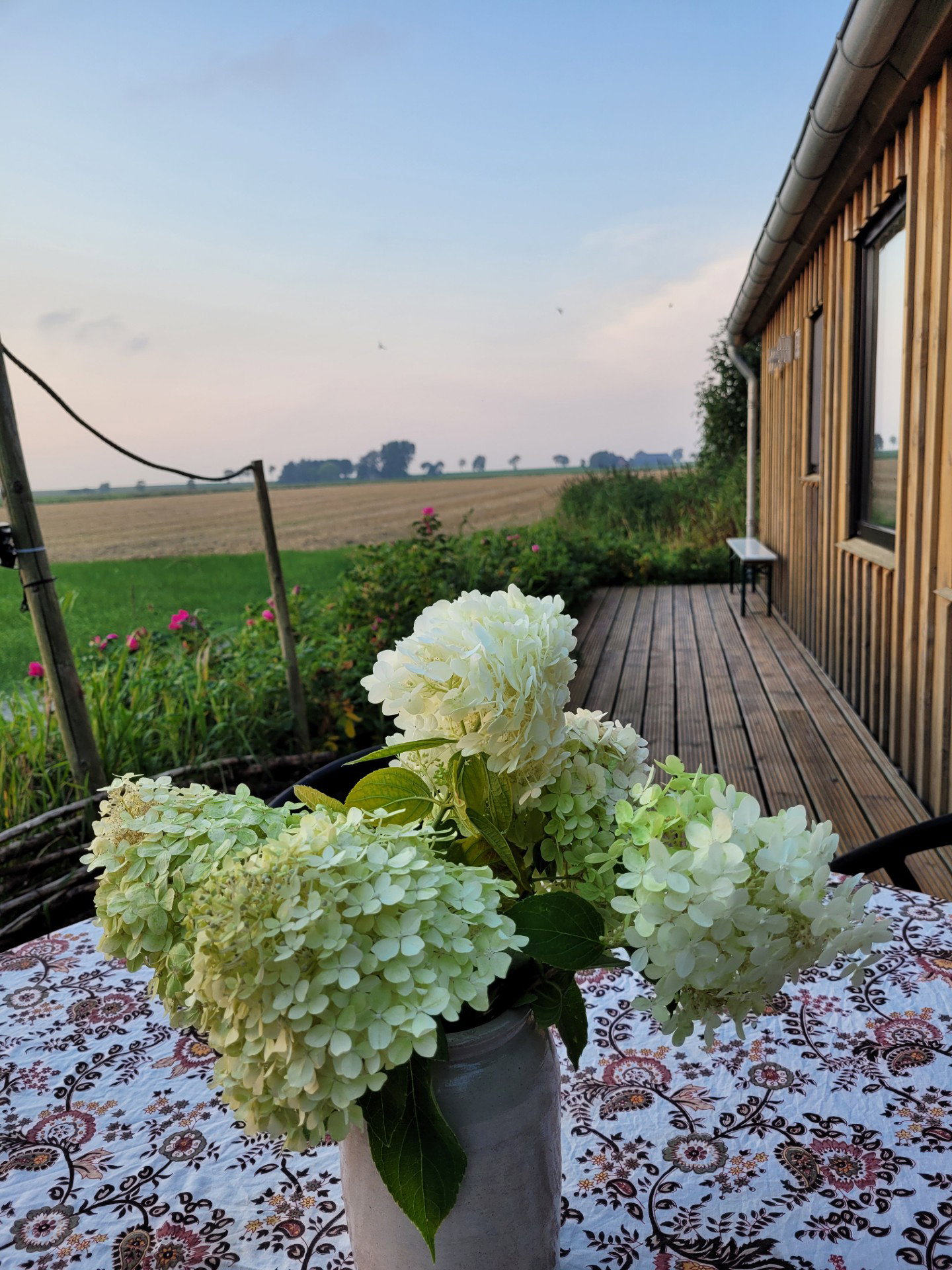 Natuurhuisje in Pieterburen