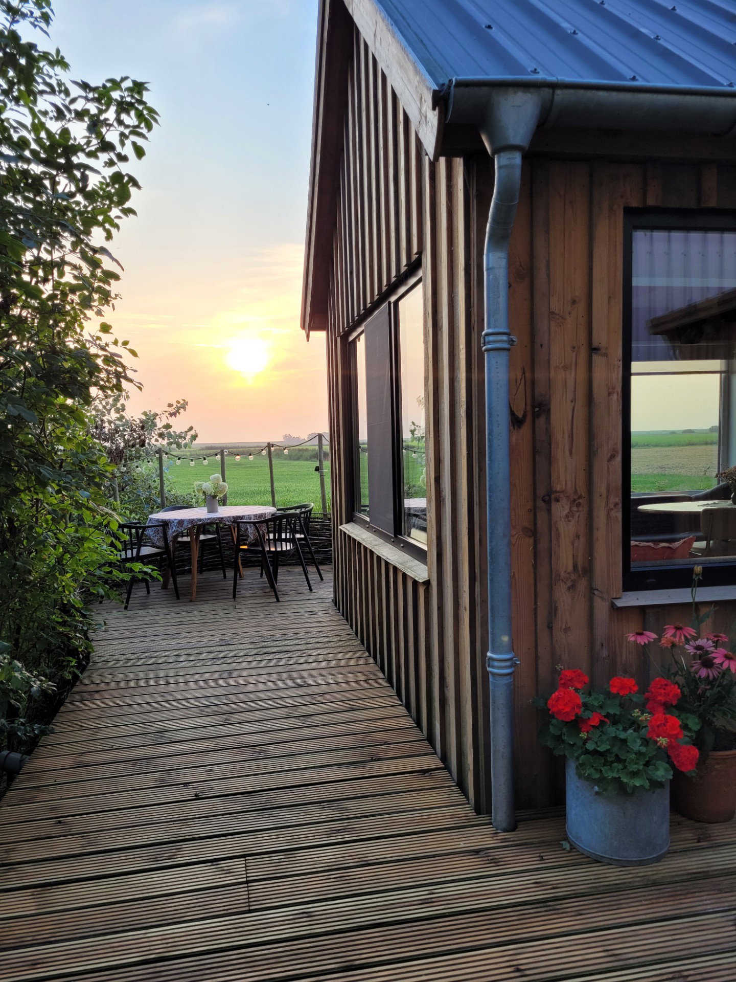 Natuurhuisje in Pieterburen