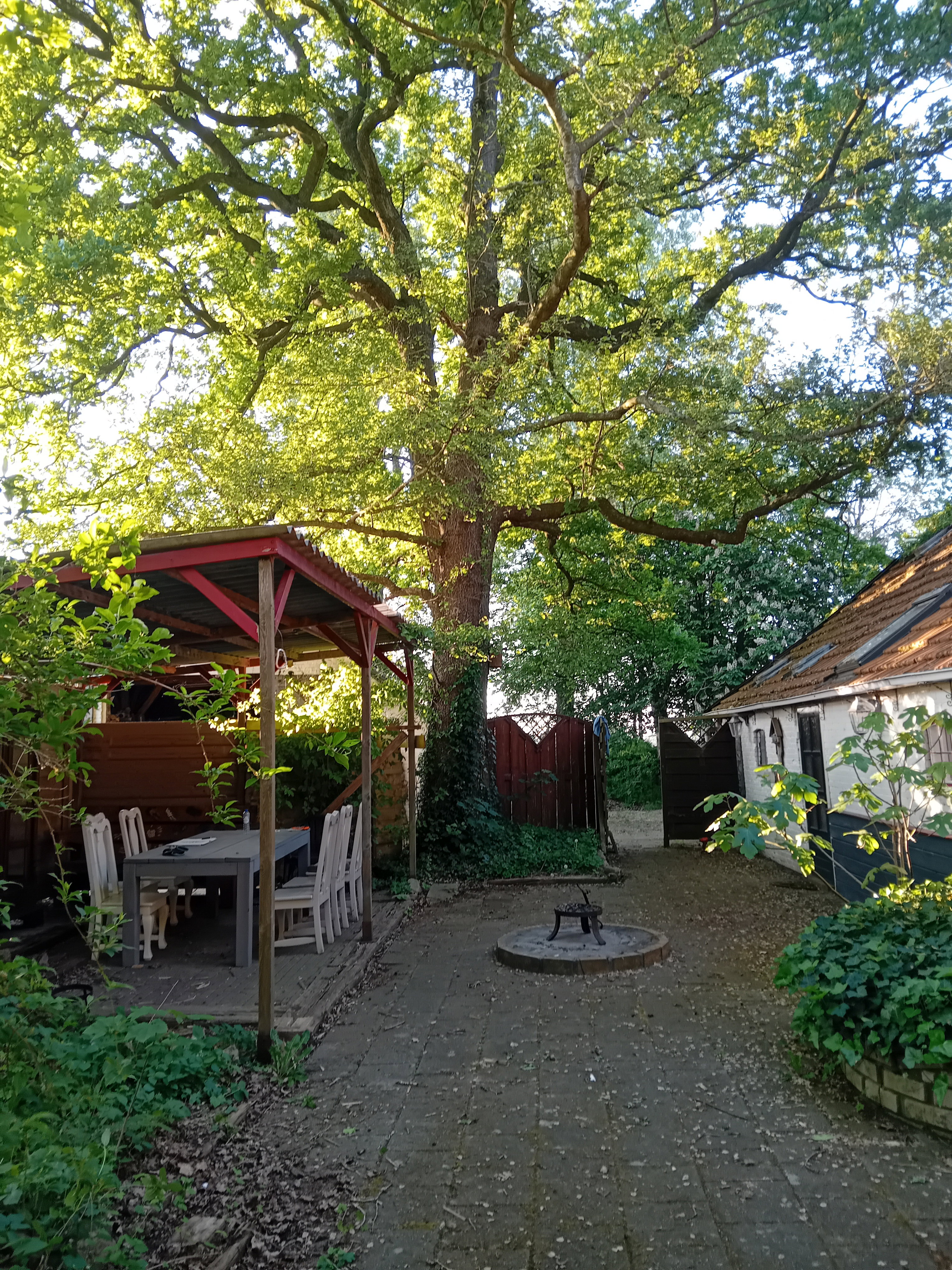 Casa nella natura a Sellingen