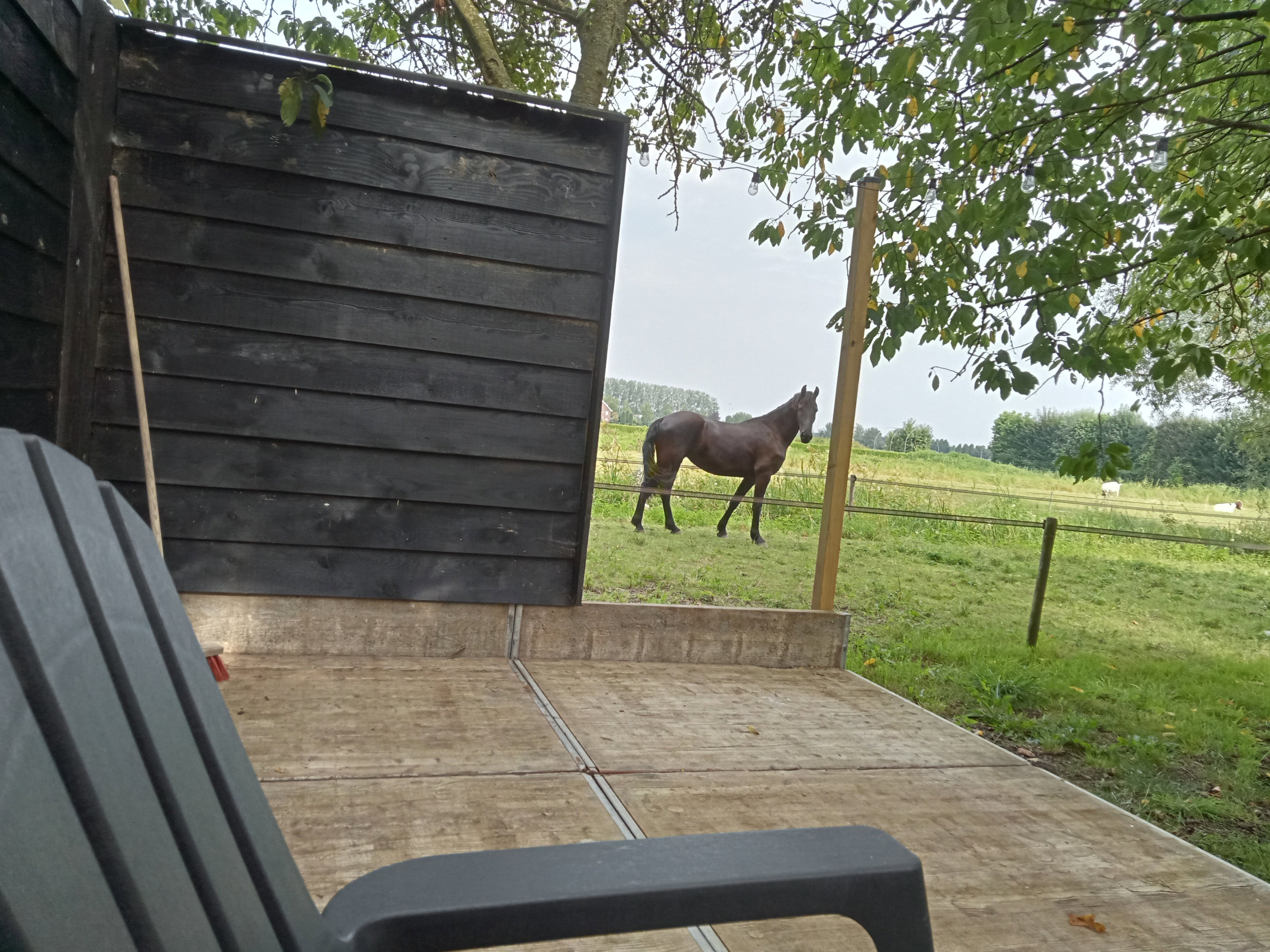 Casa nella natura a Gameren