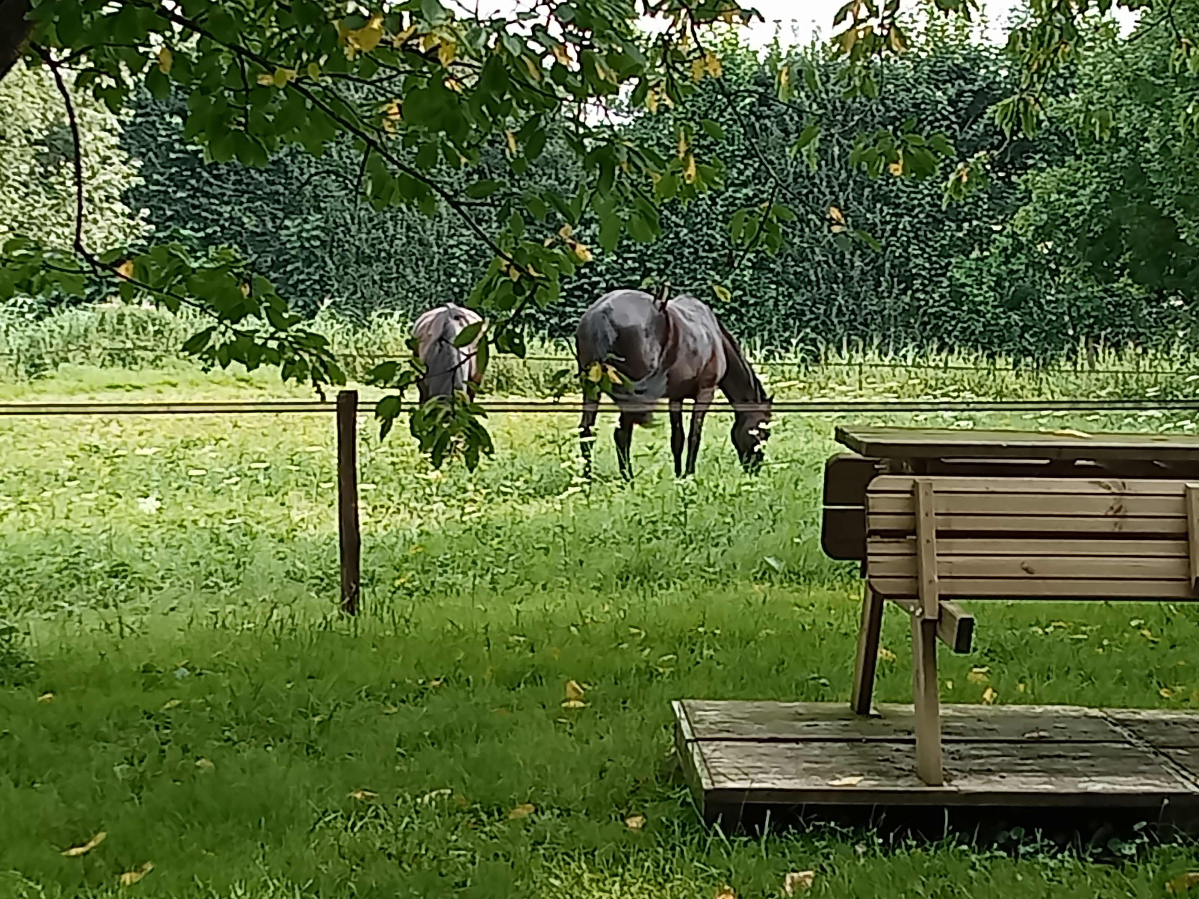 Casa nella natura a Gameren