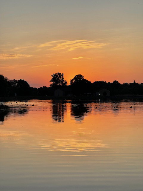 - image: 55