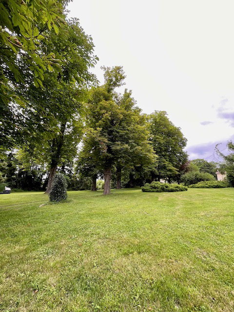 - image: 42