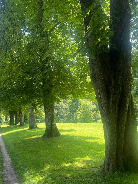 - image: 40
