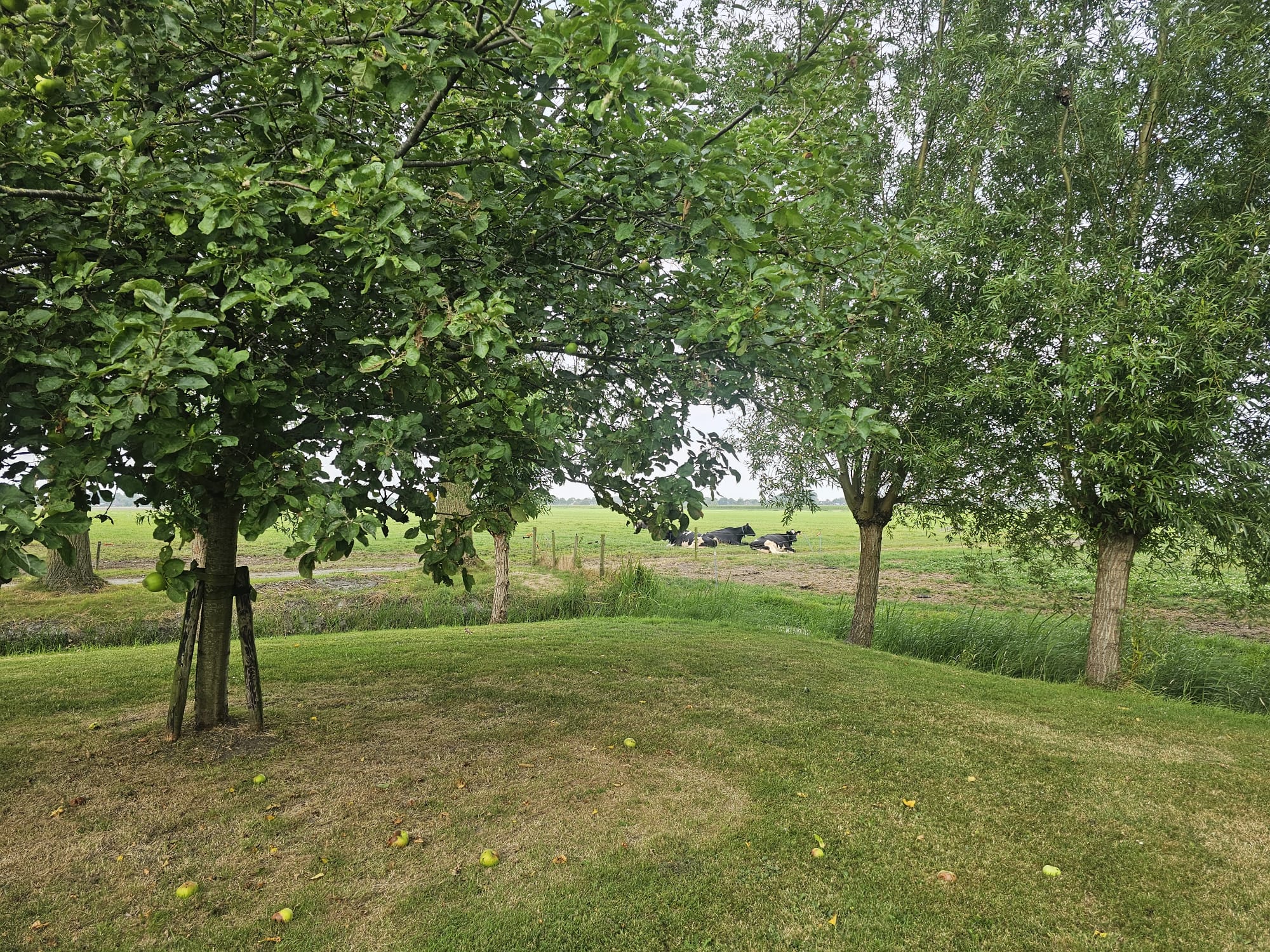 Maison nature à Hoogwoud