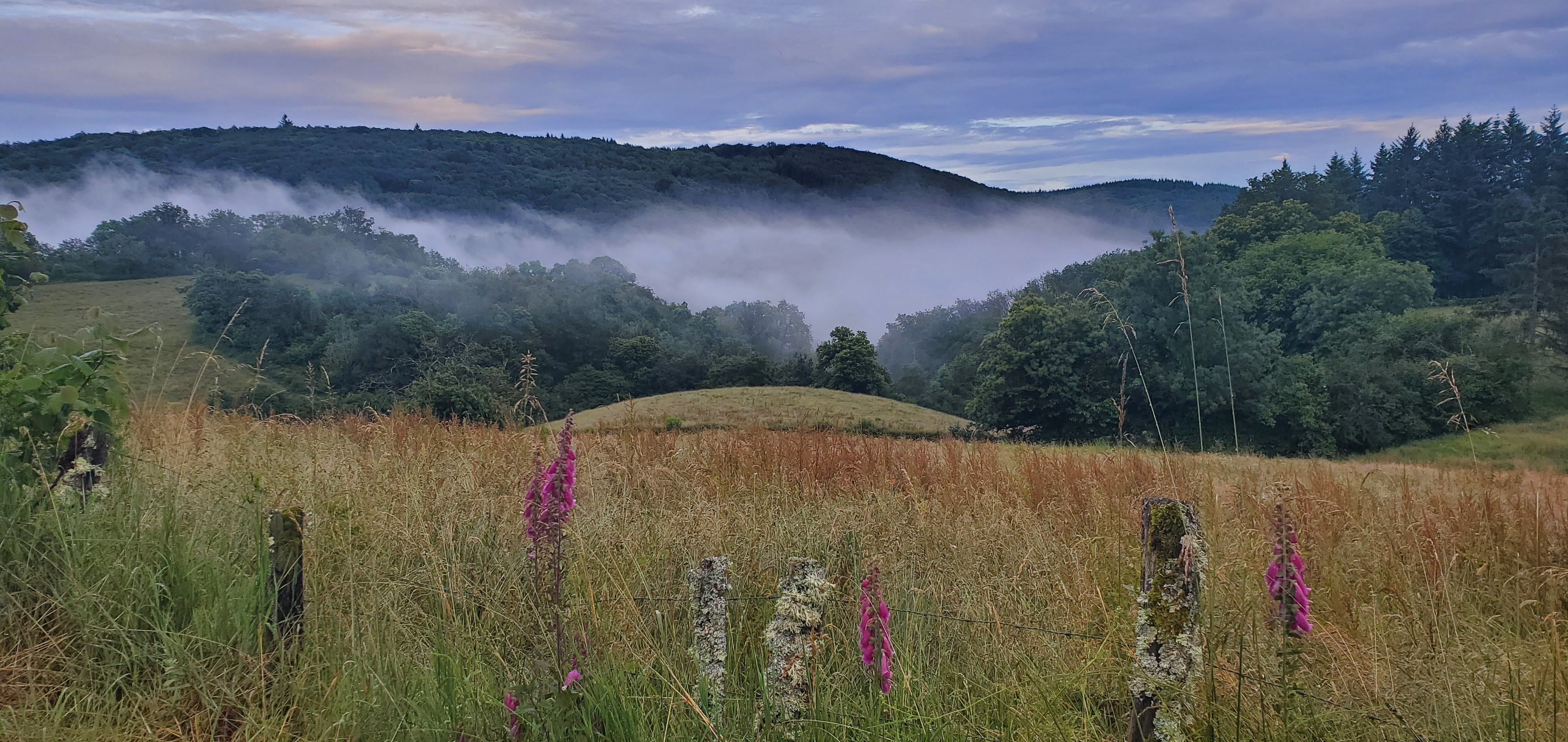 Natuurhuisje in Le Prenet, Villapourçon
