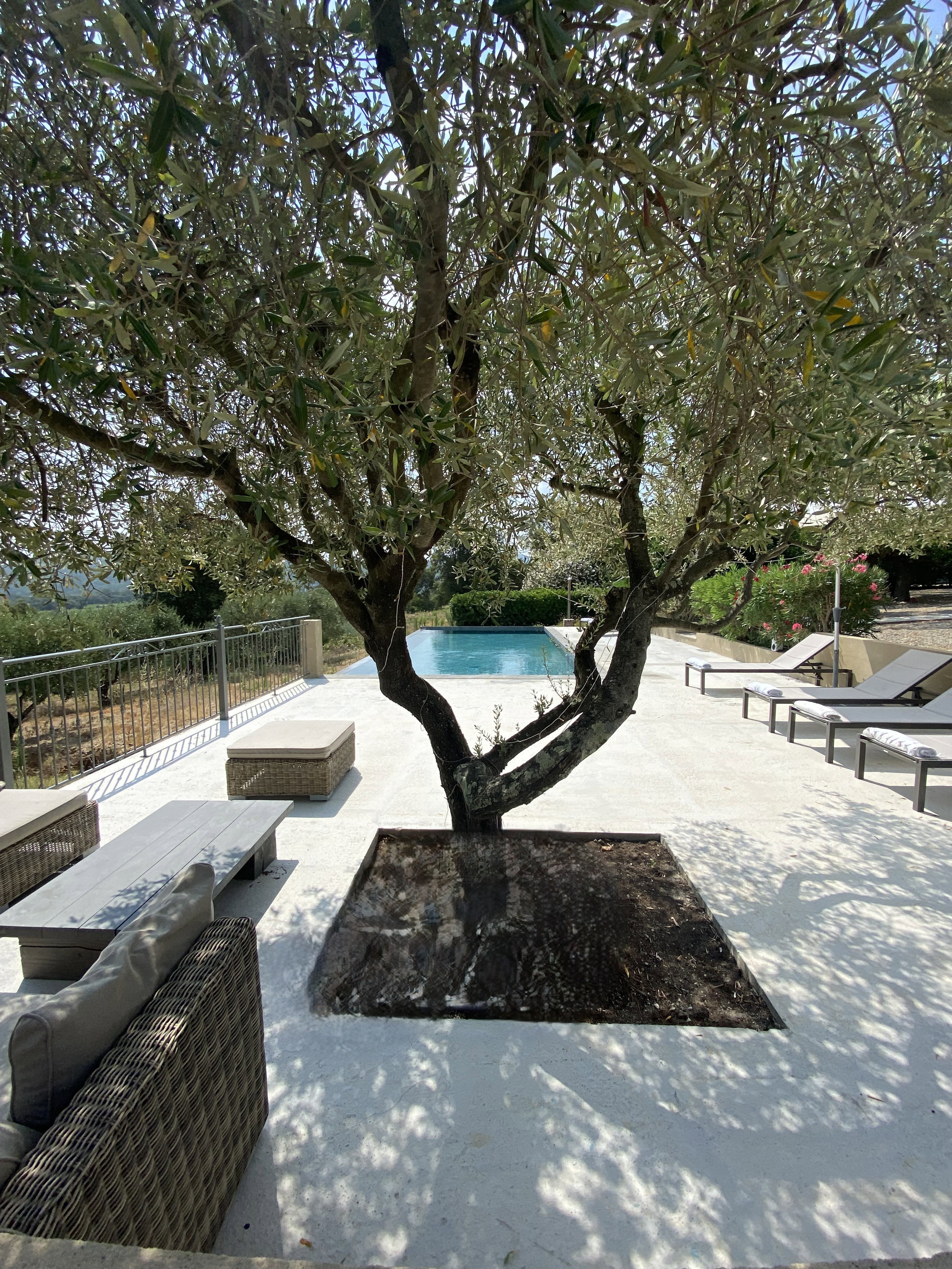 - image: 11